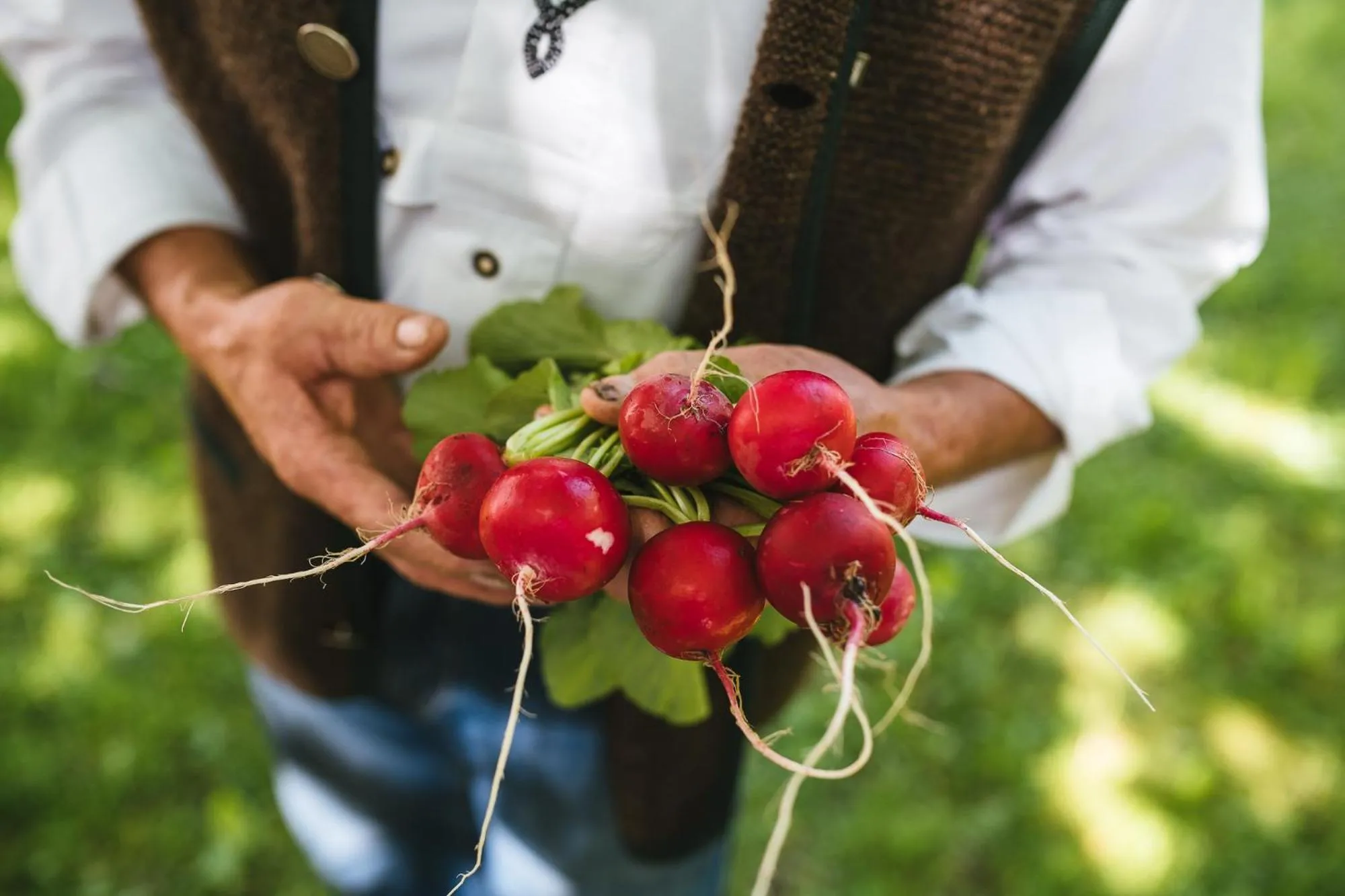 Food in Hotel Zum Mohren