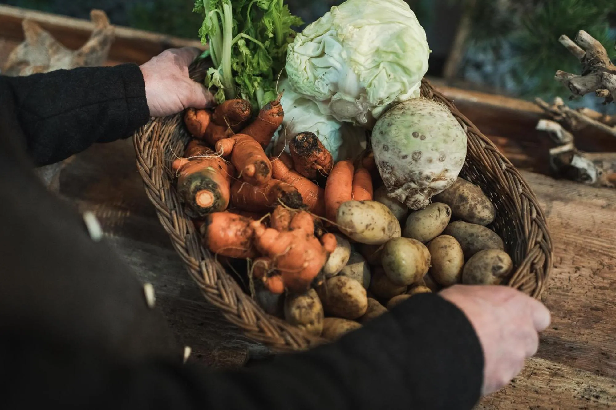 Food and drinks in Hotel Zum Mohren