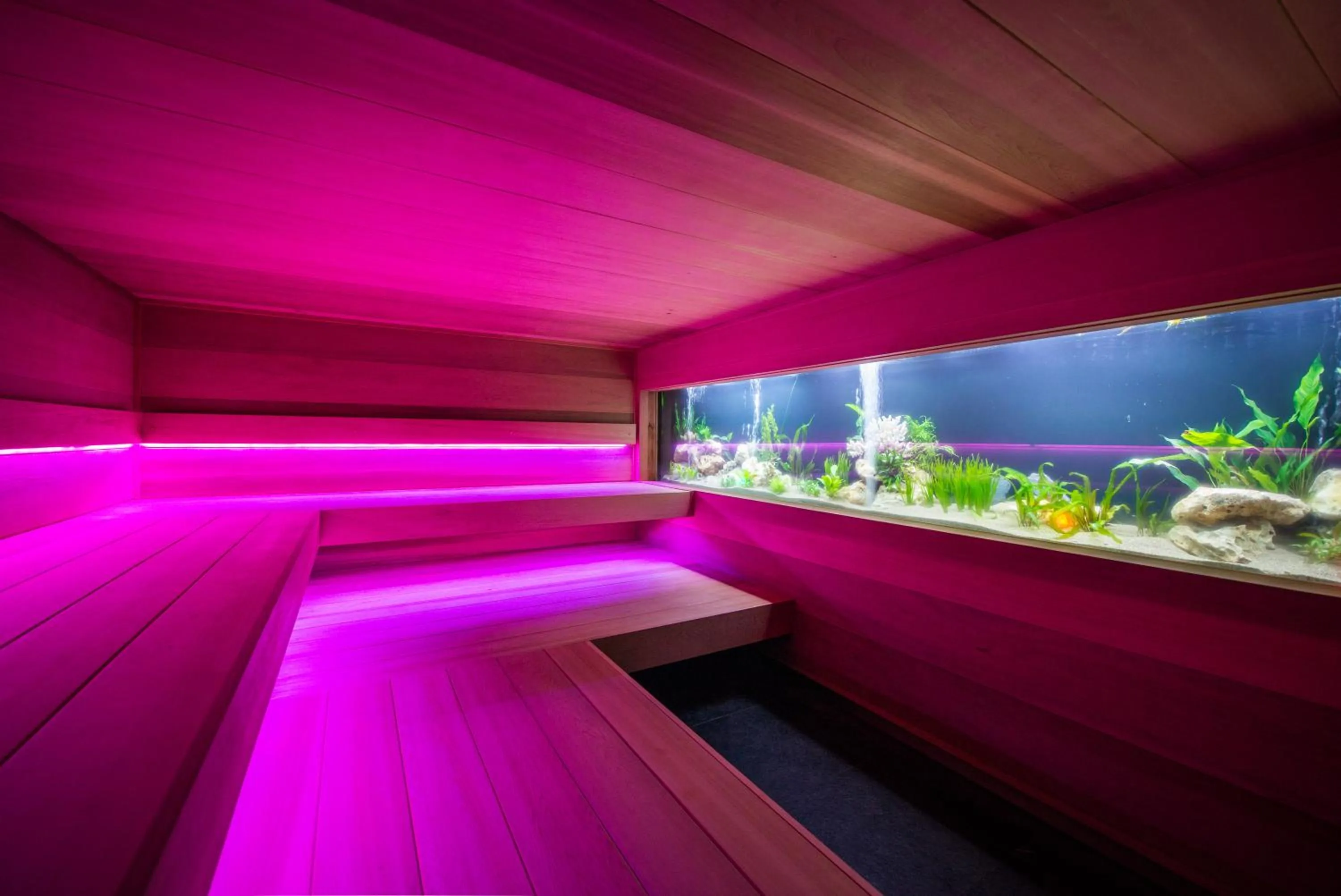 Sauna in Thermen Londerzeel Hotel