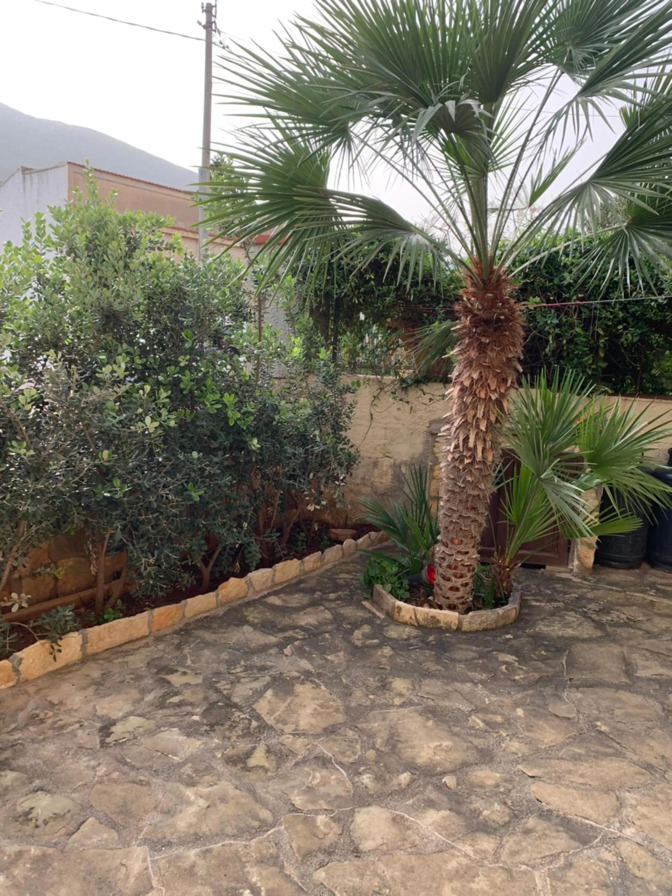 Garden in Cala di Ponente