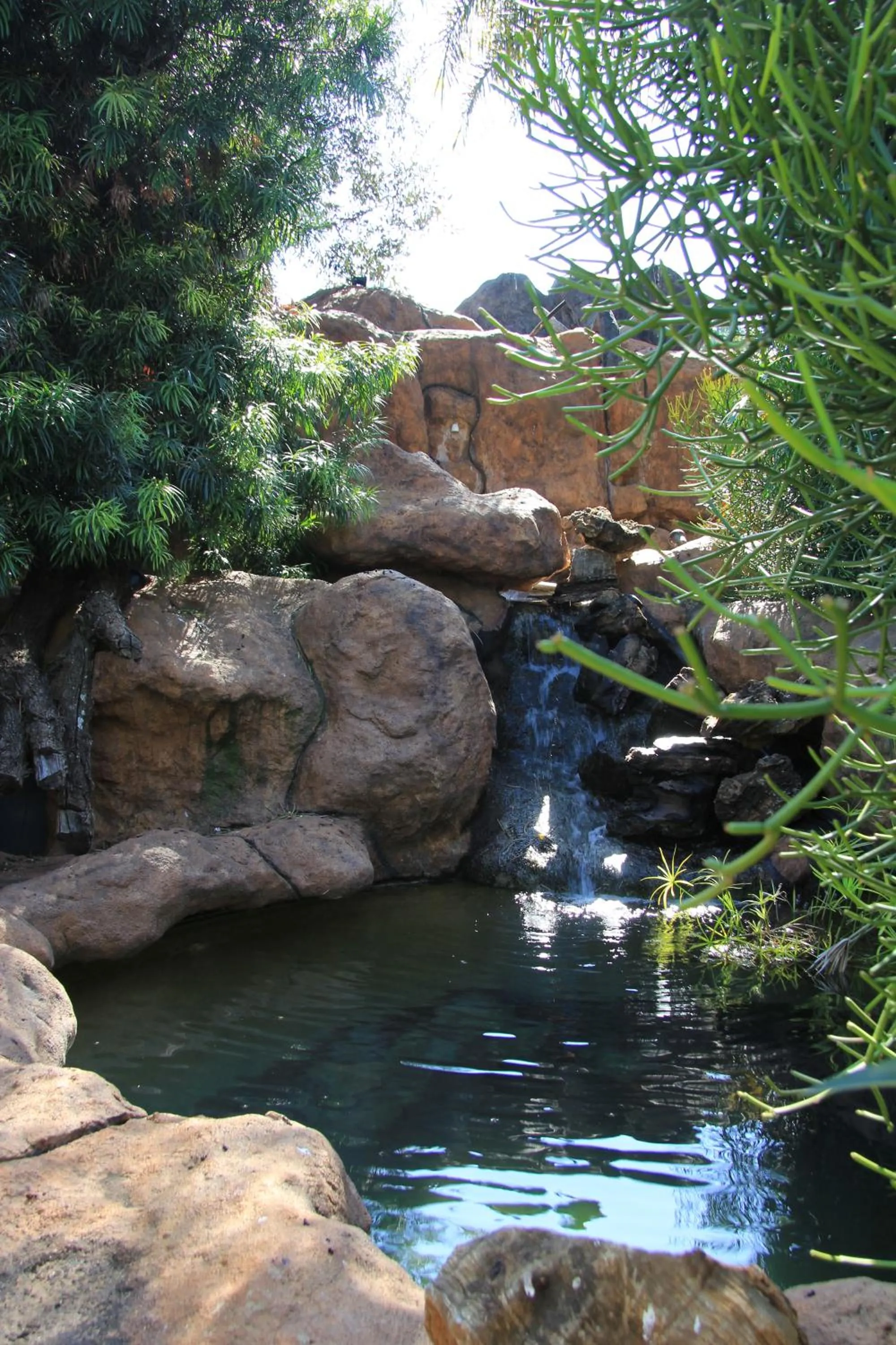 Natural landscape in Kassaboera Lodge