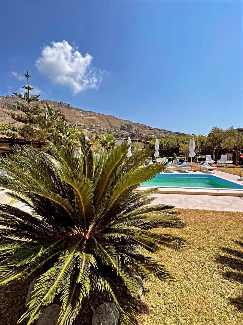 Garden in Case Vacanze Le Buganville