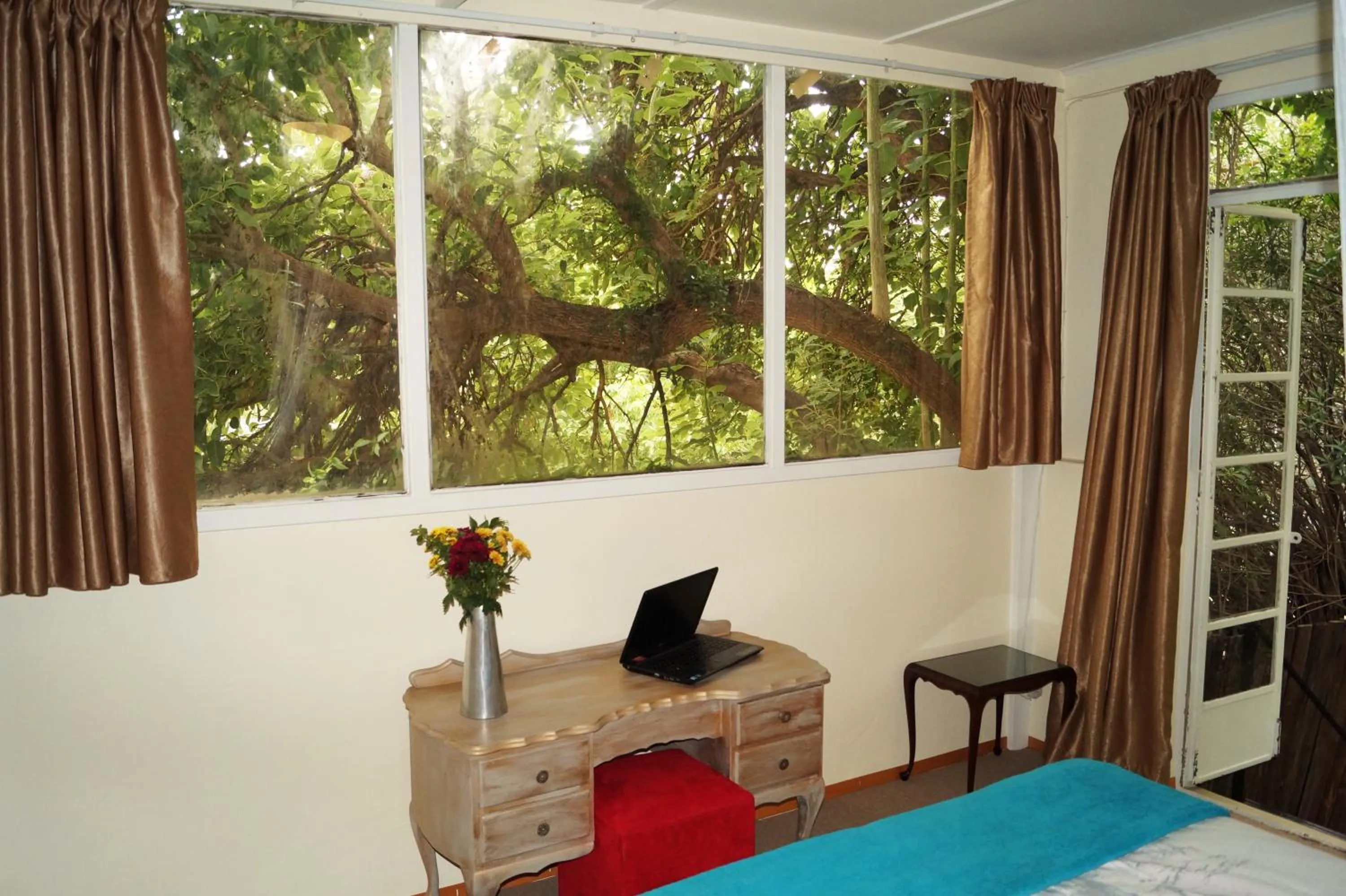 Garden view in Westmoreland Lodge