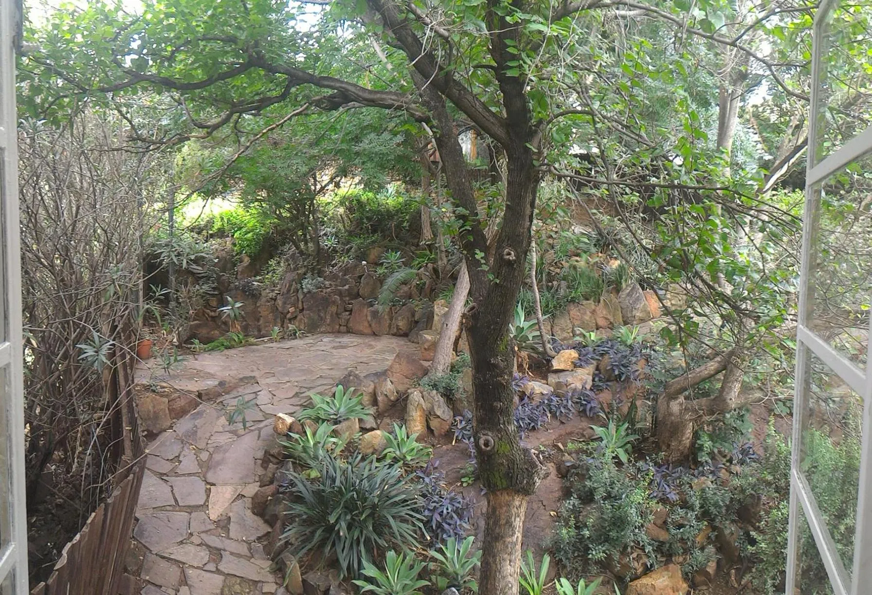 Natural landscape in Westmoreland Lodge