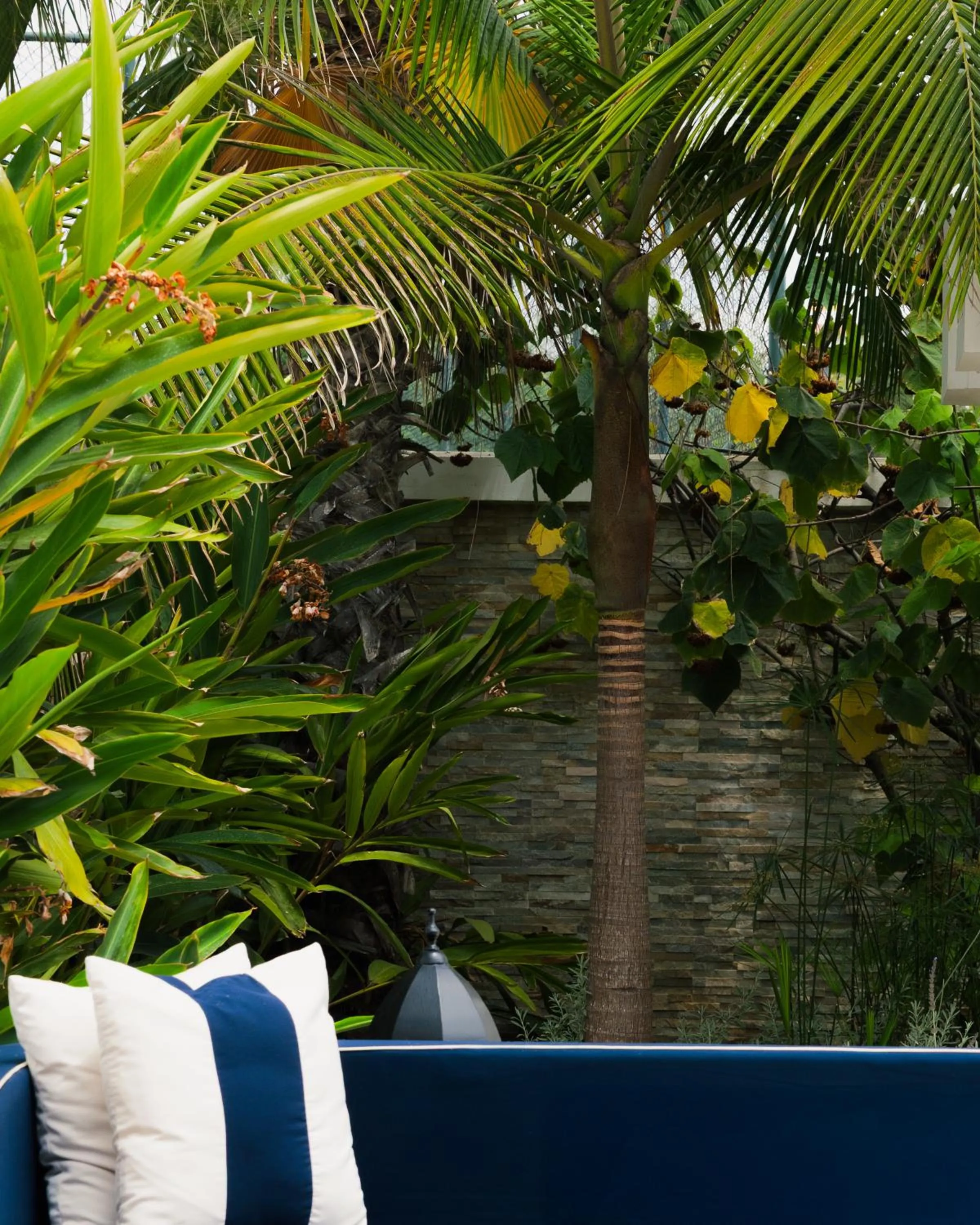 Natural landscape in Banyan Tree Tamouda Bay