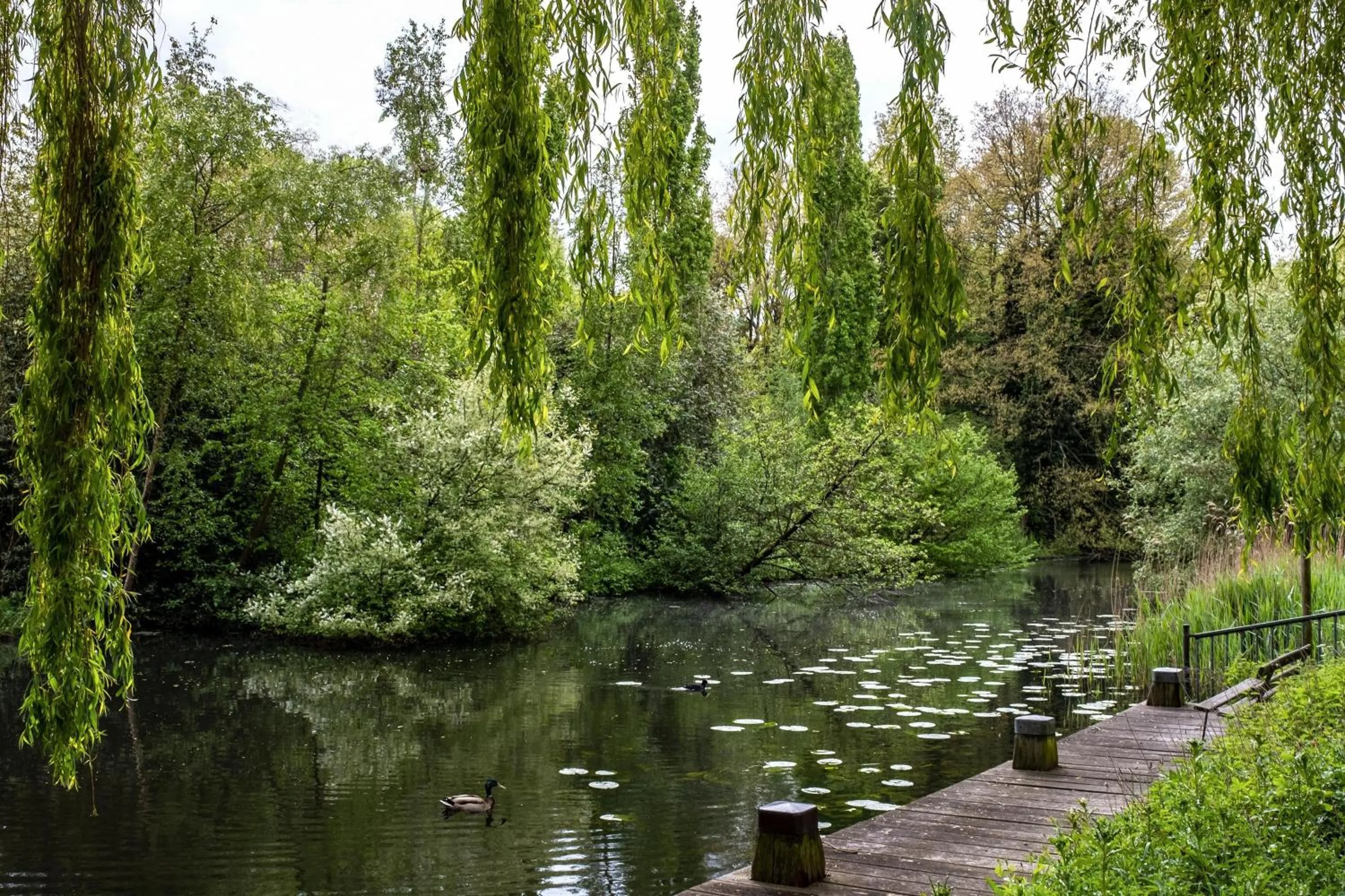 Other in Element Amsterdam
