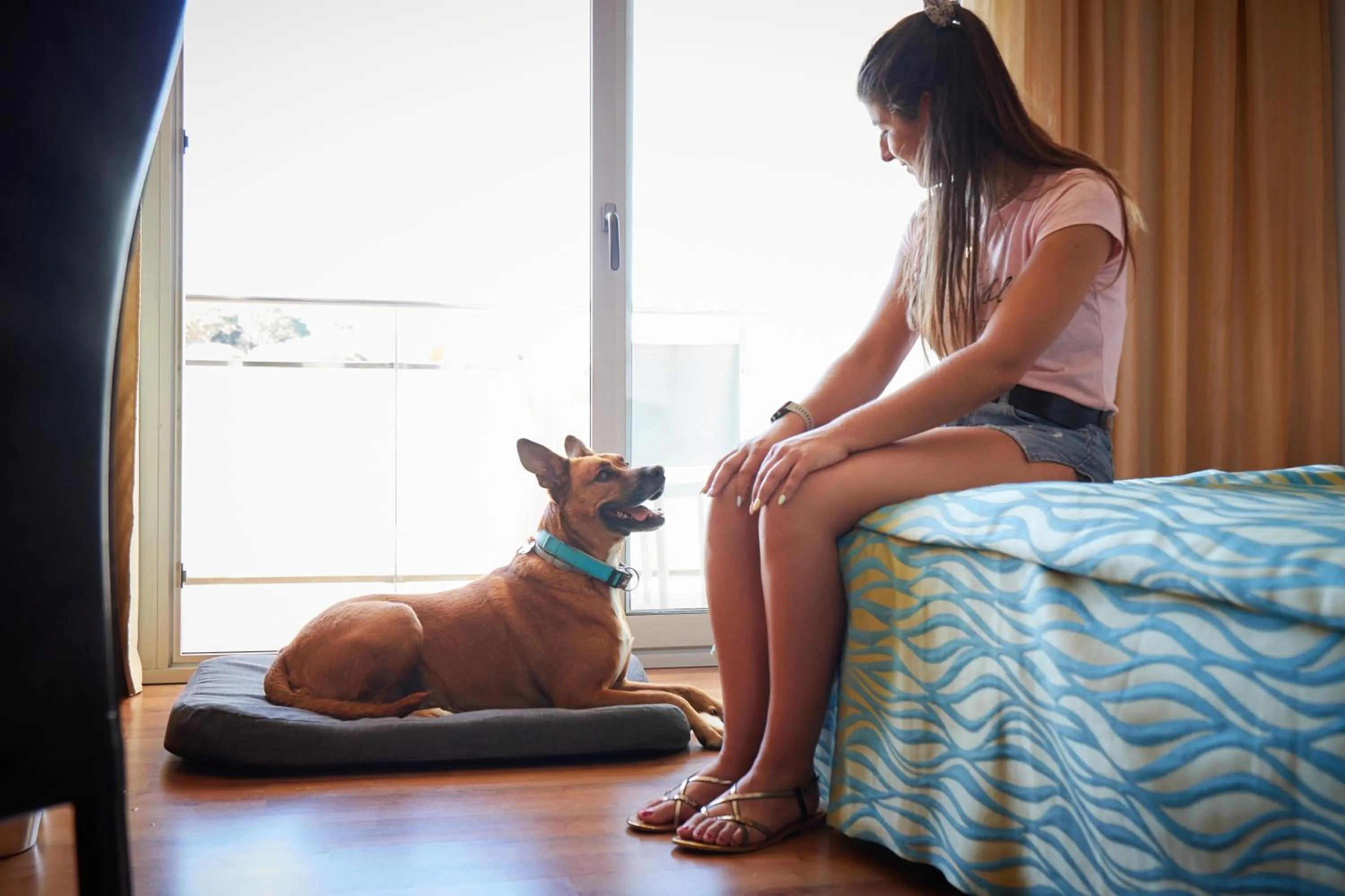 Pets in RVHotels Nautic Park