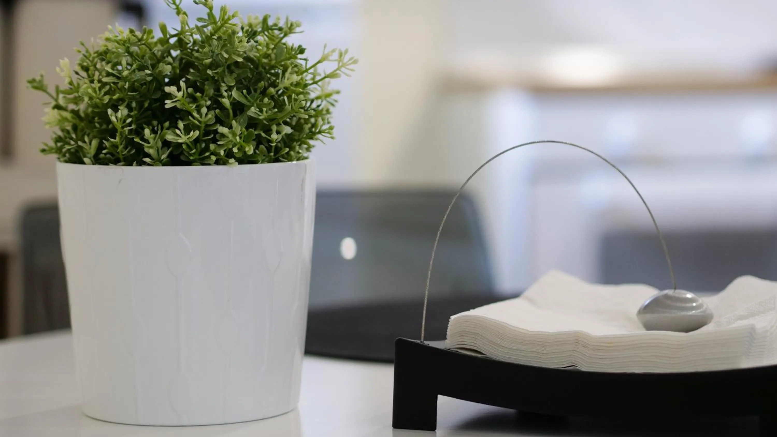 Decorative detail in Casa da Matriz