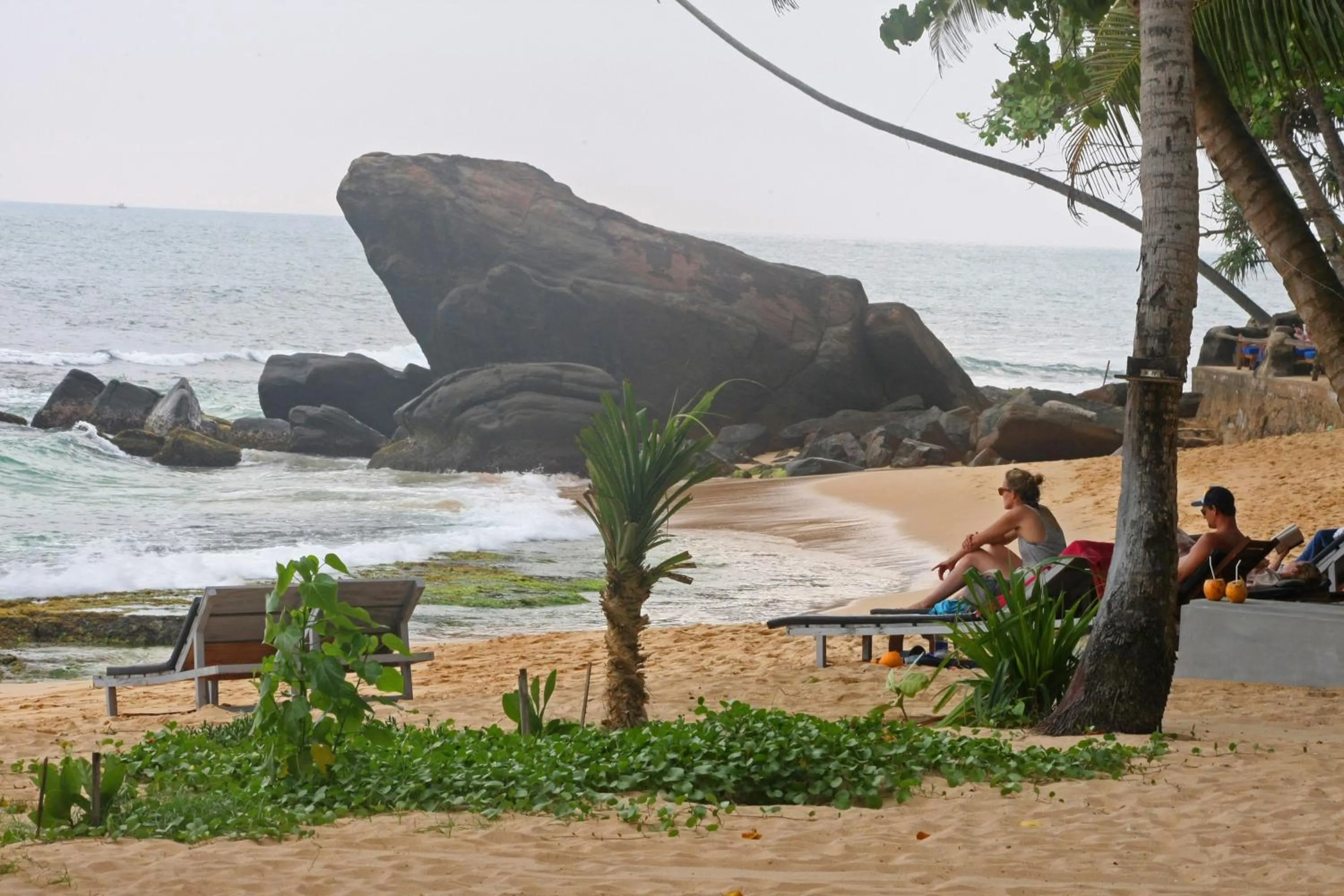 Natural landscape in Sayura Beach Hotel
