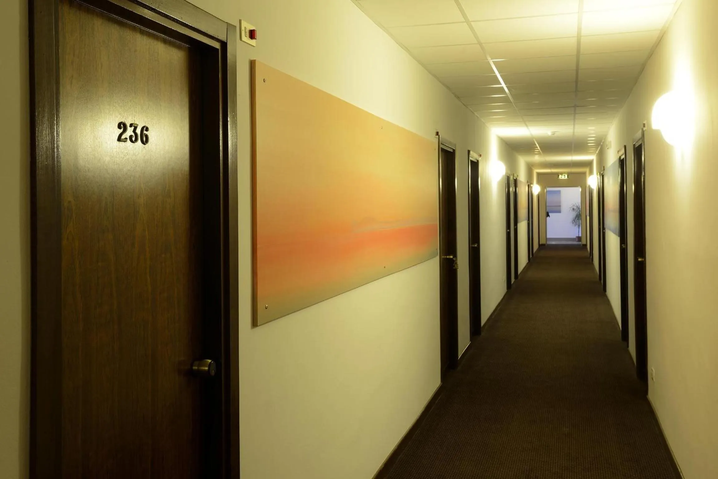 Other in Hotel Oasis