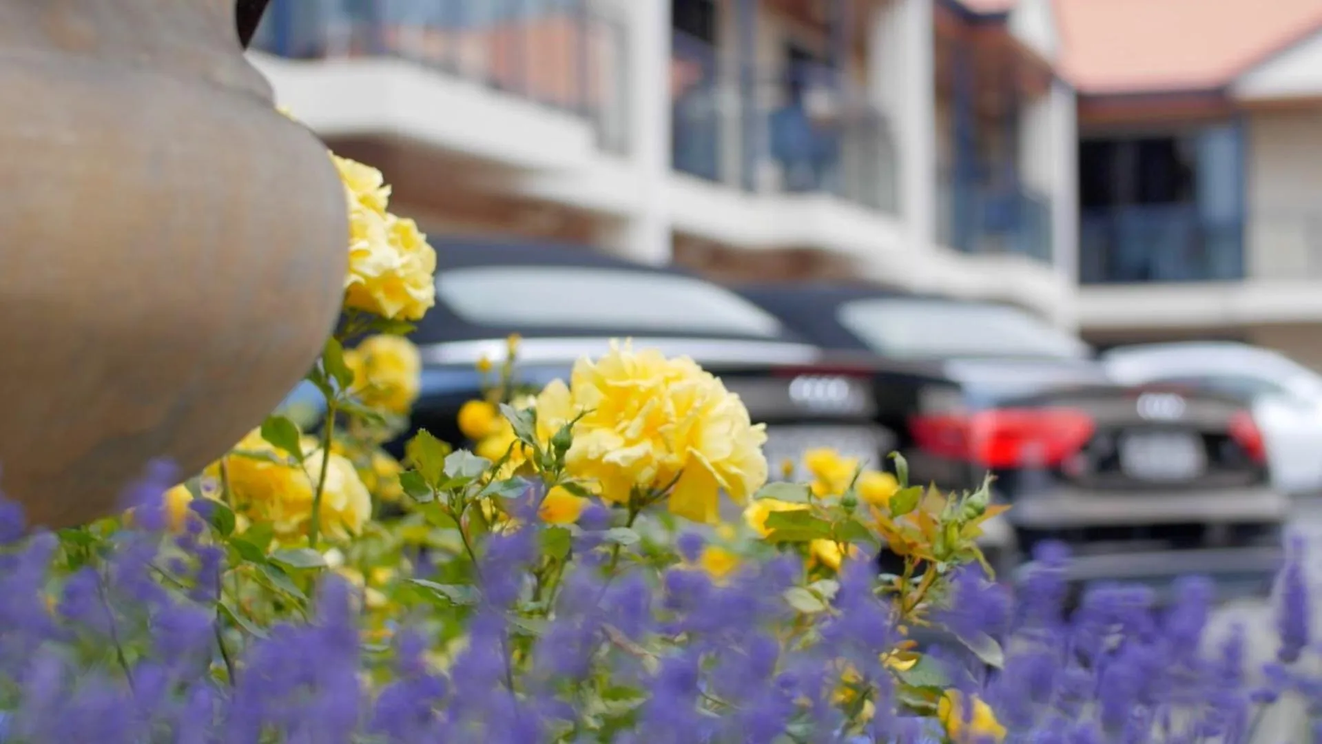 Property building in Randolph Motel Apartments