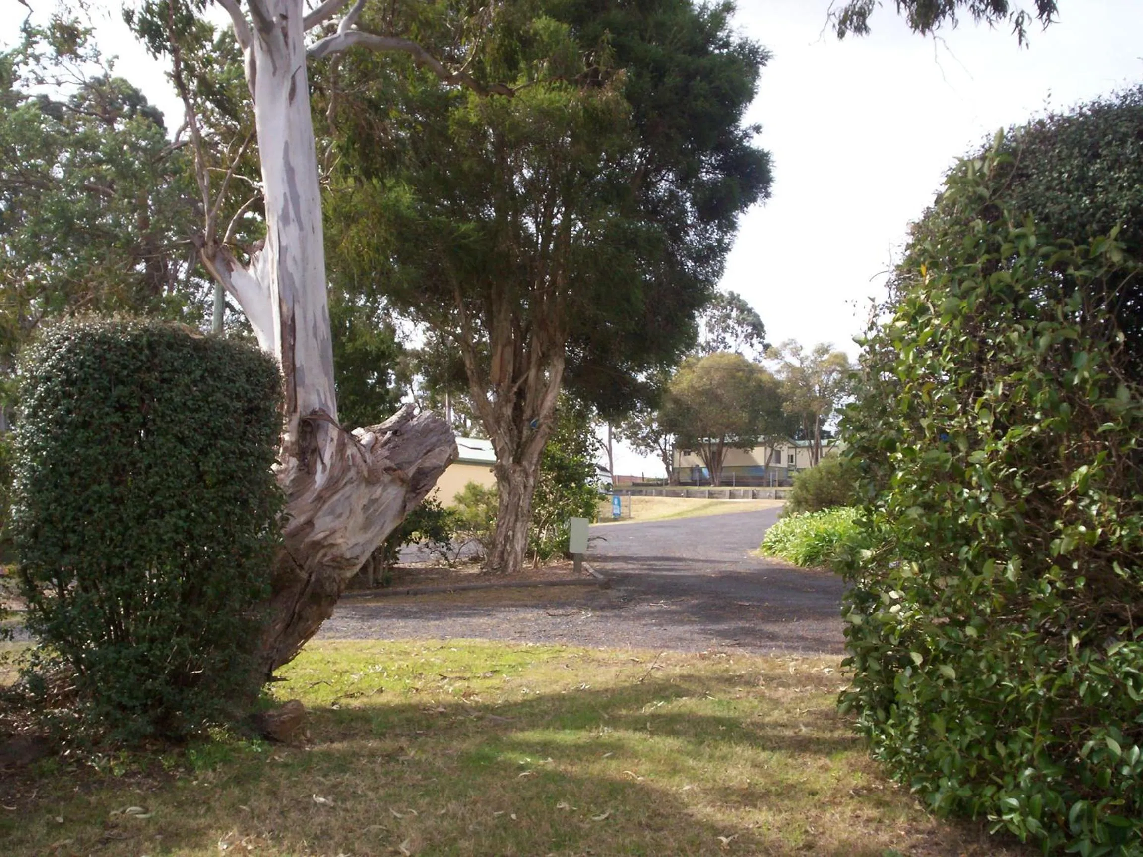 Garden in Bega Caravan Park