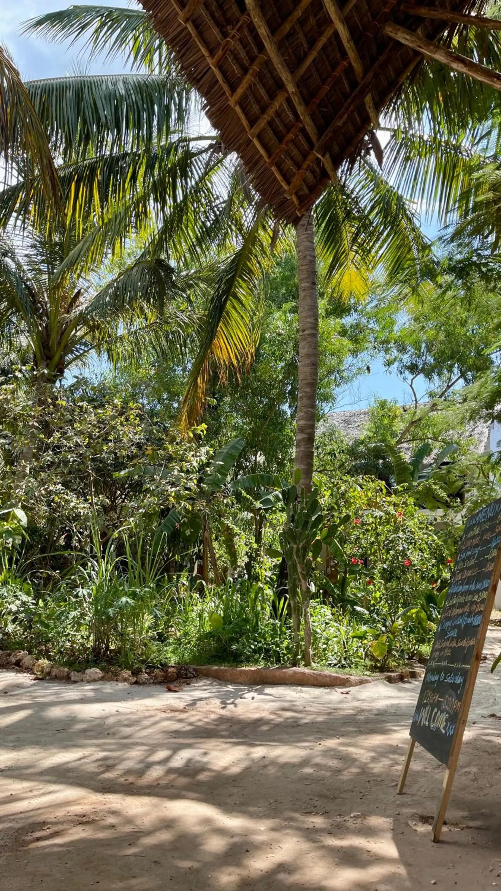 Garden in Atii Garden Bungalows