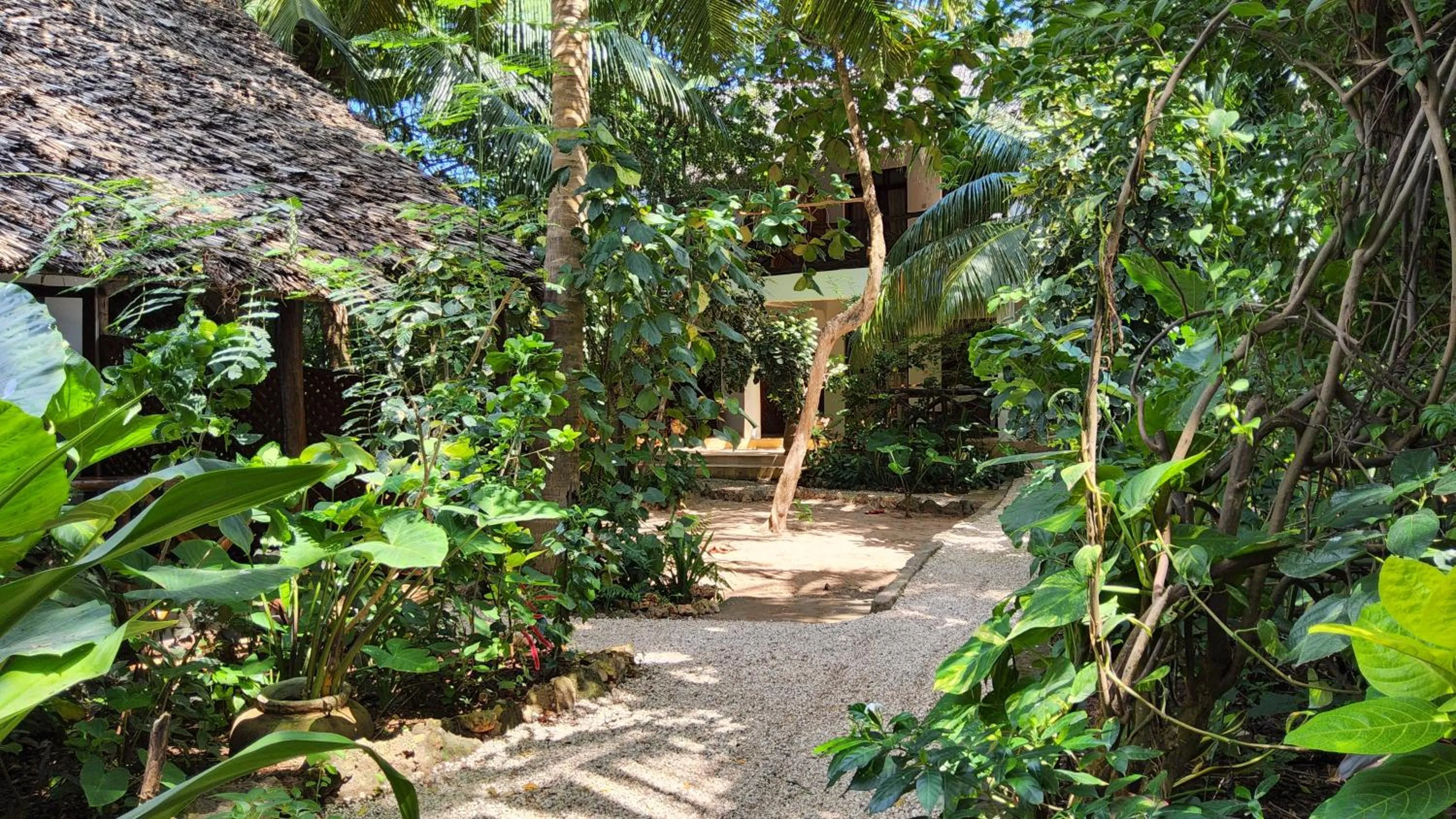 Garden view in Atii Garden Bungalows