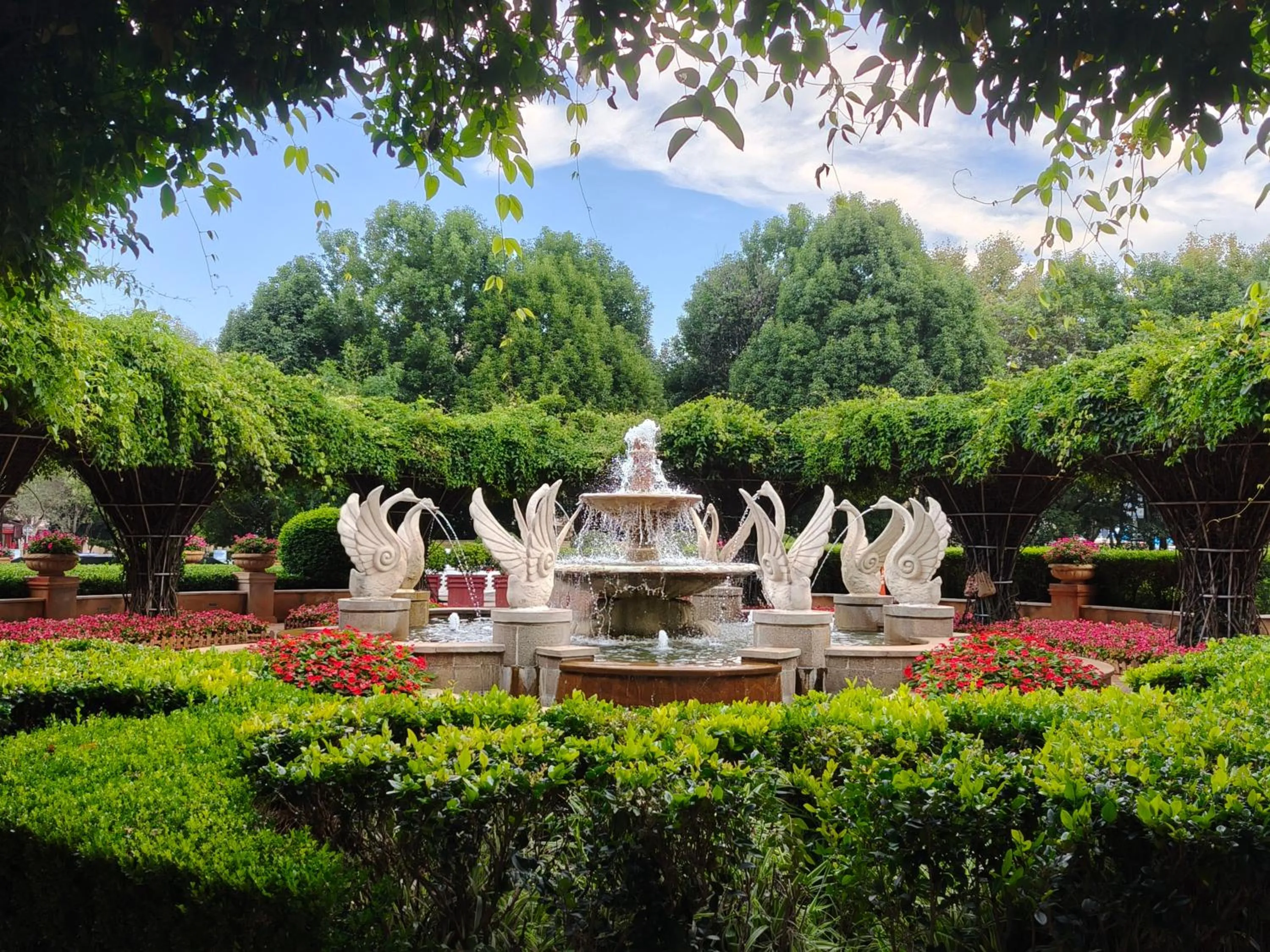 Garden in Sofitel Kunming