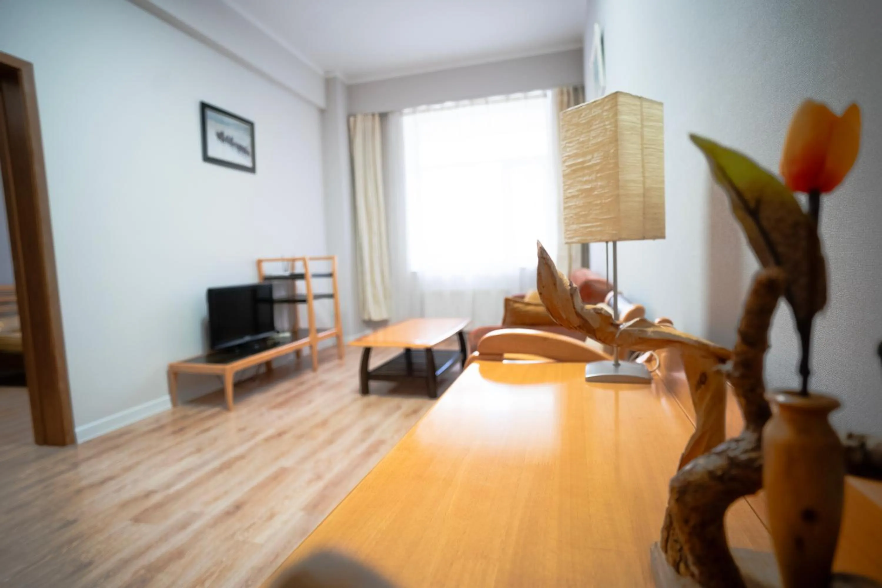 Living room in Tsolmon's Serviced Apartments