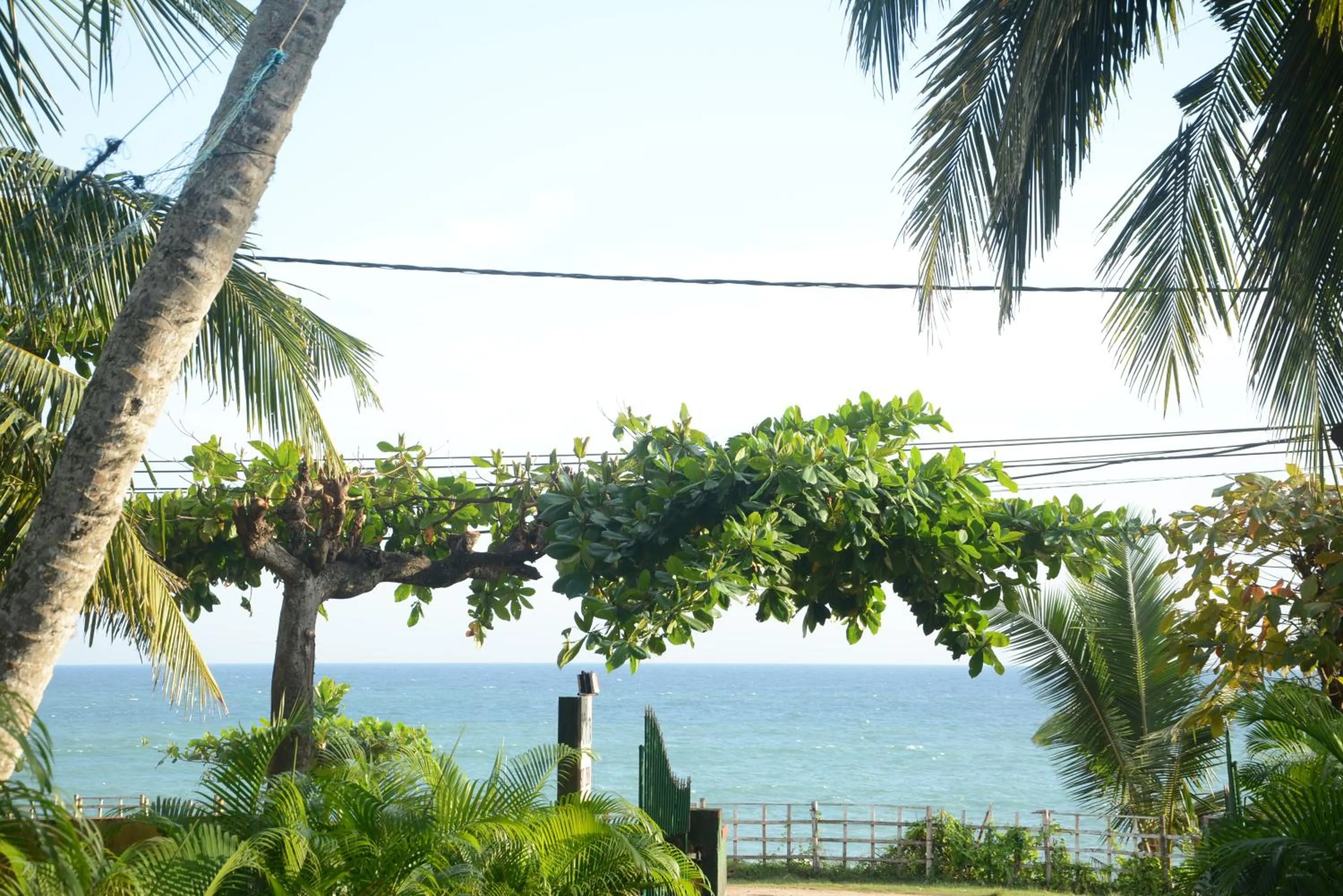 Beach in Sea View Tourist Inn