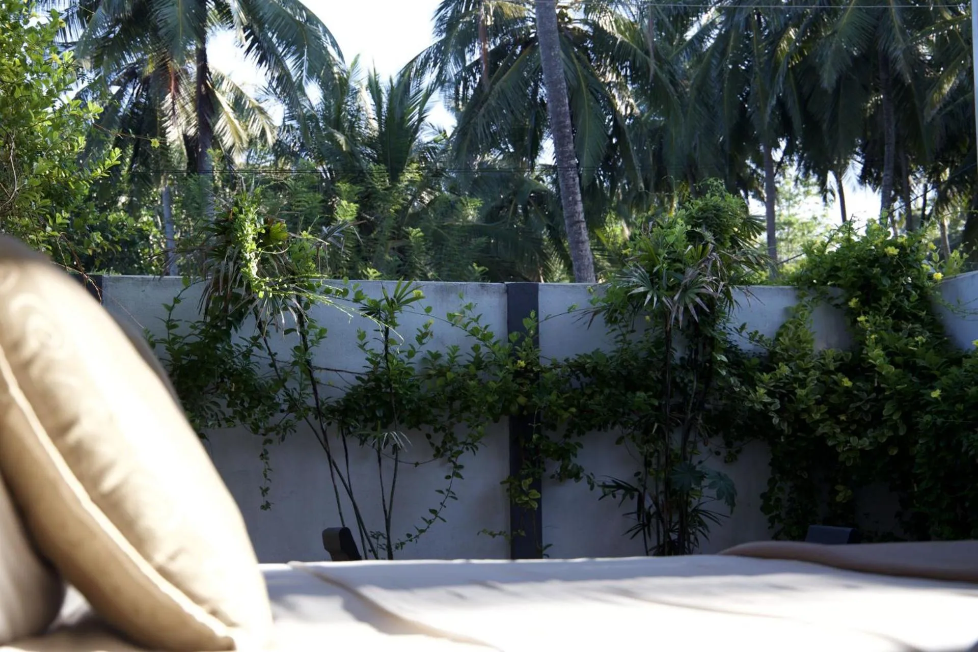 Garden in Jasper House