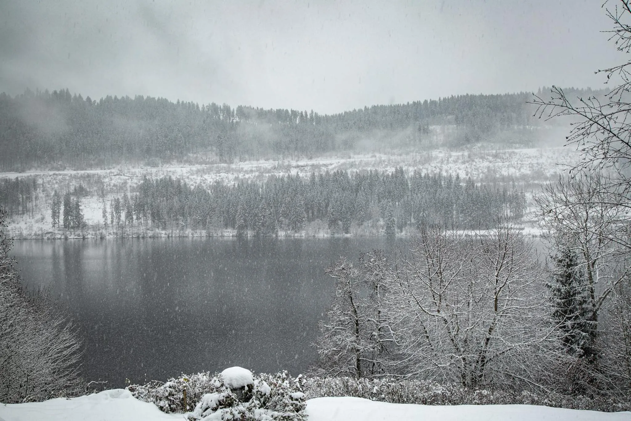 Natural landscape in Alemannenhof - Boutique Hotel am Titisee