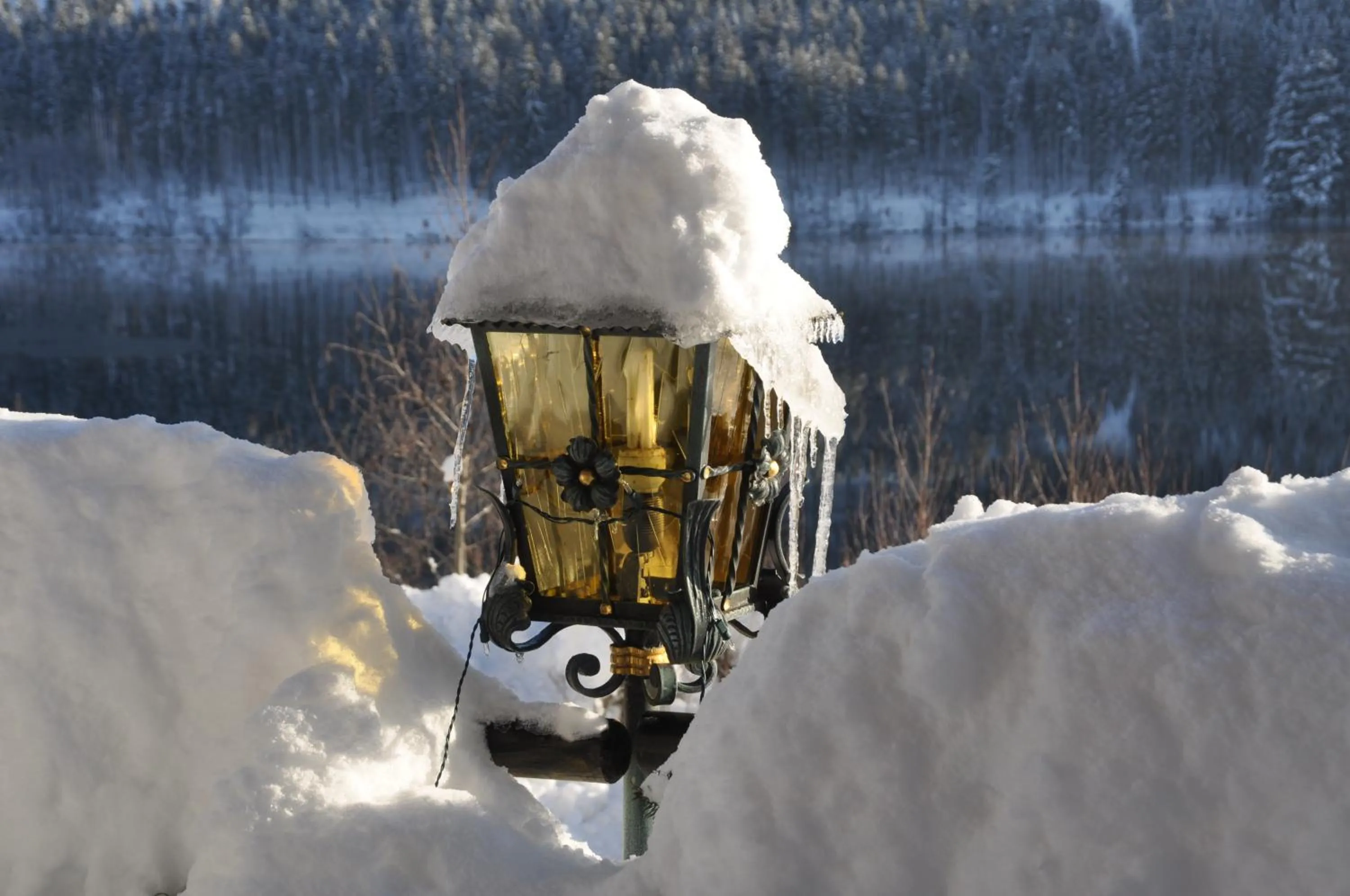 Winter in Alemannenhof - Boutique Hotel am Titisee