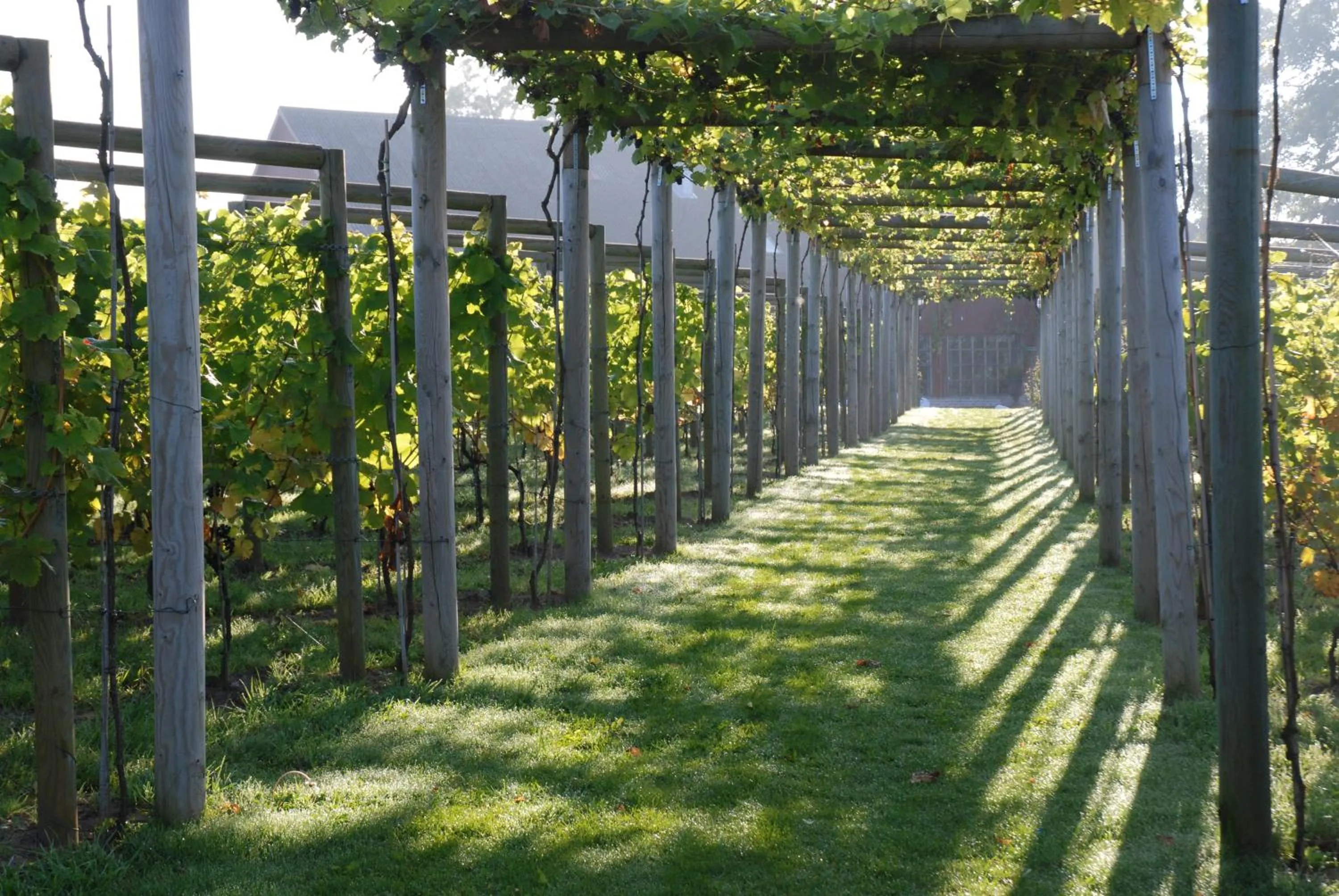 Natural landscape in Flädie Mat & Vingård