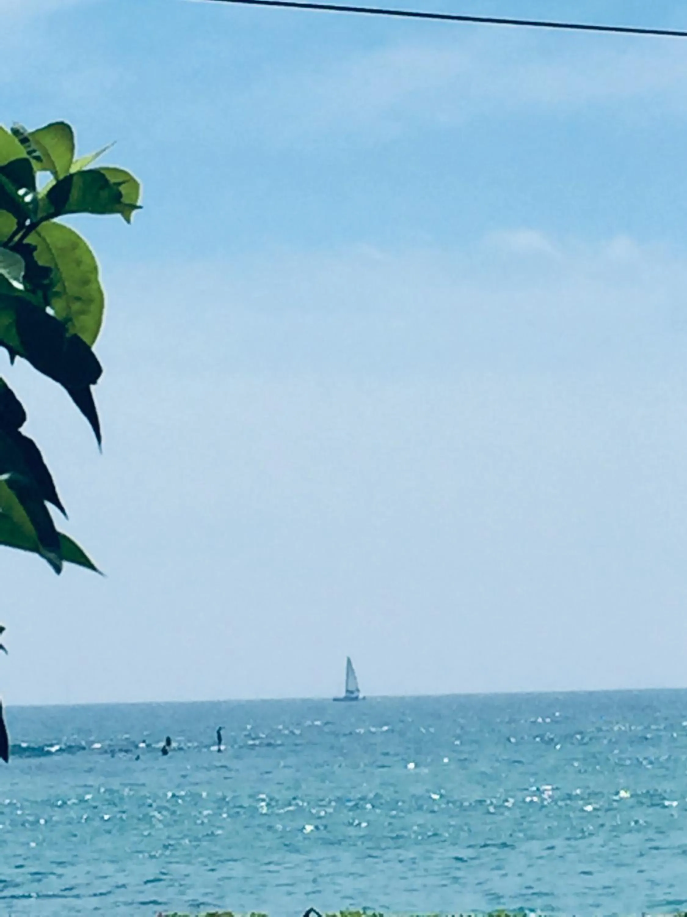 Hot Tuna Surfers Rest Midigama