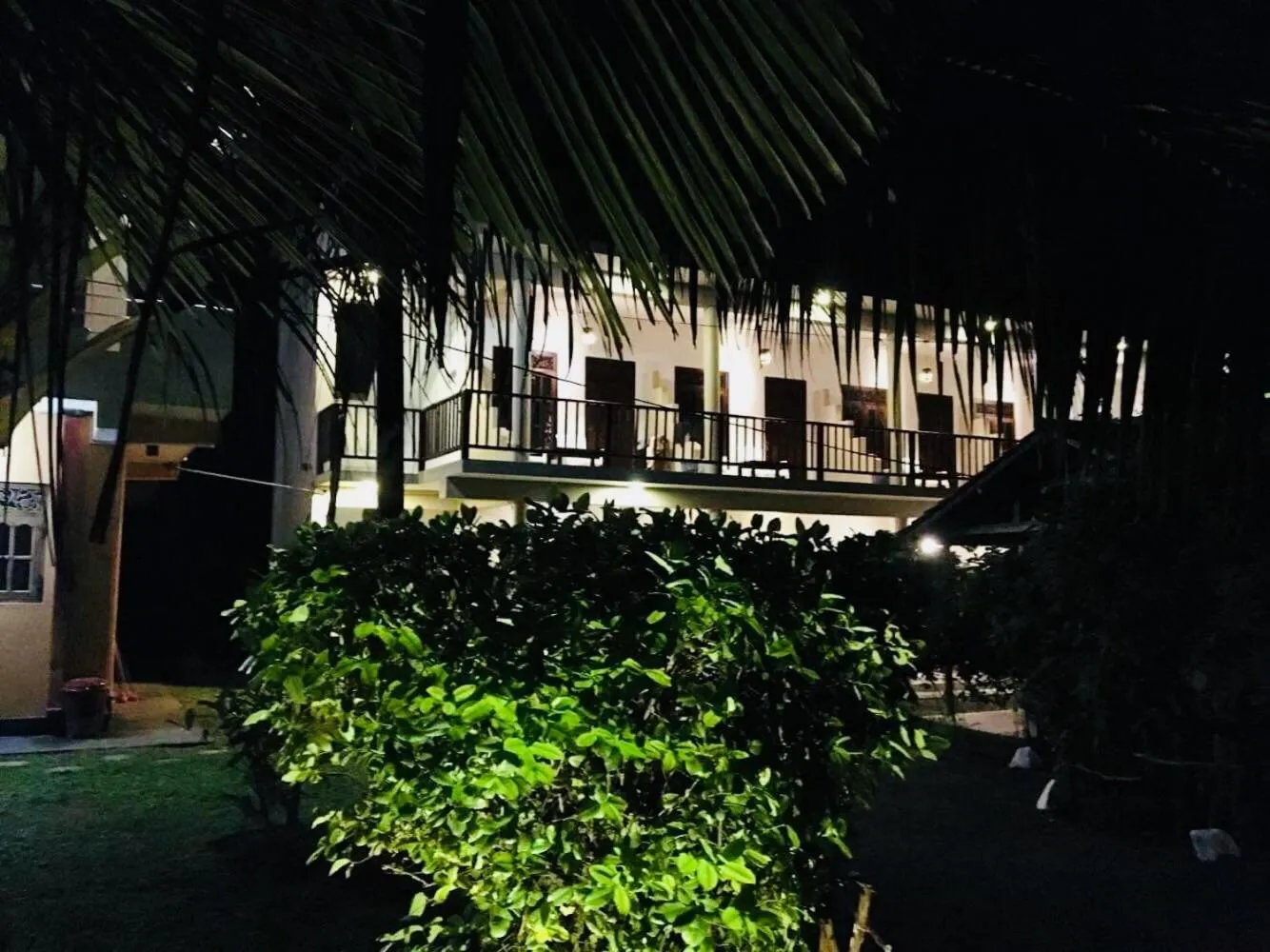 Hot Tuna Surfers Rest Midigama