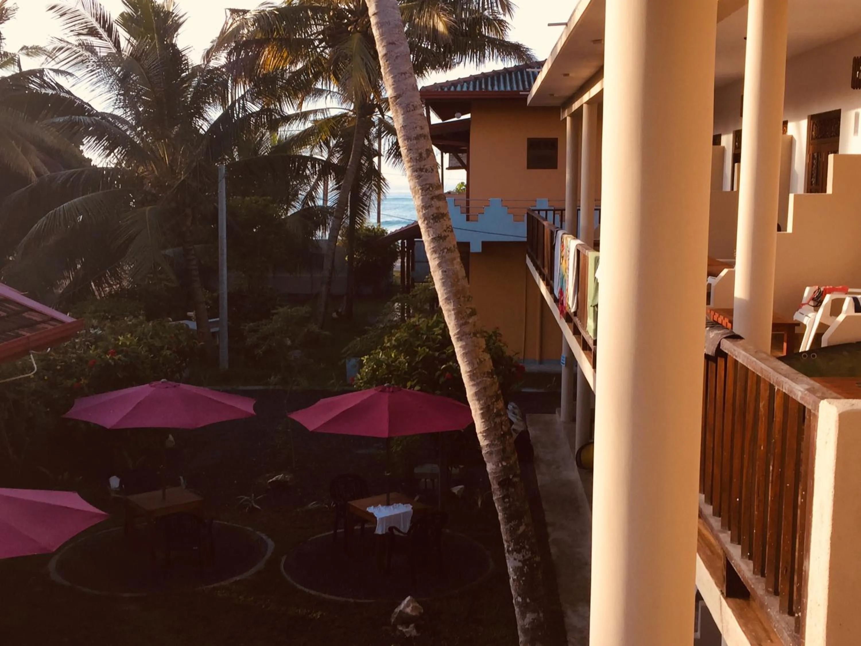 Hot Tuna Surfers Rest Midigama