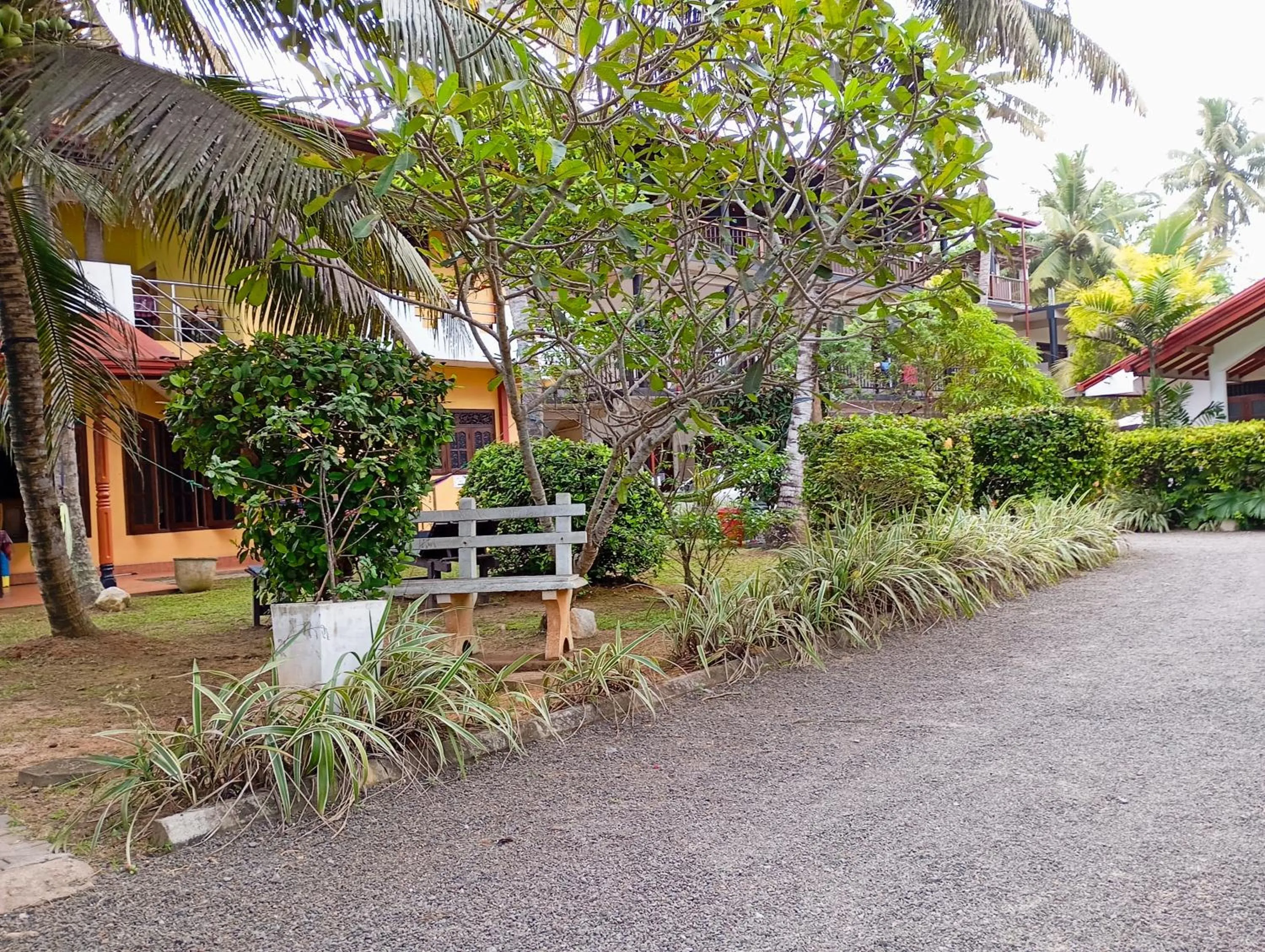 Hot Tuna Surfers Rest Midigama