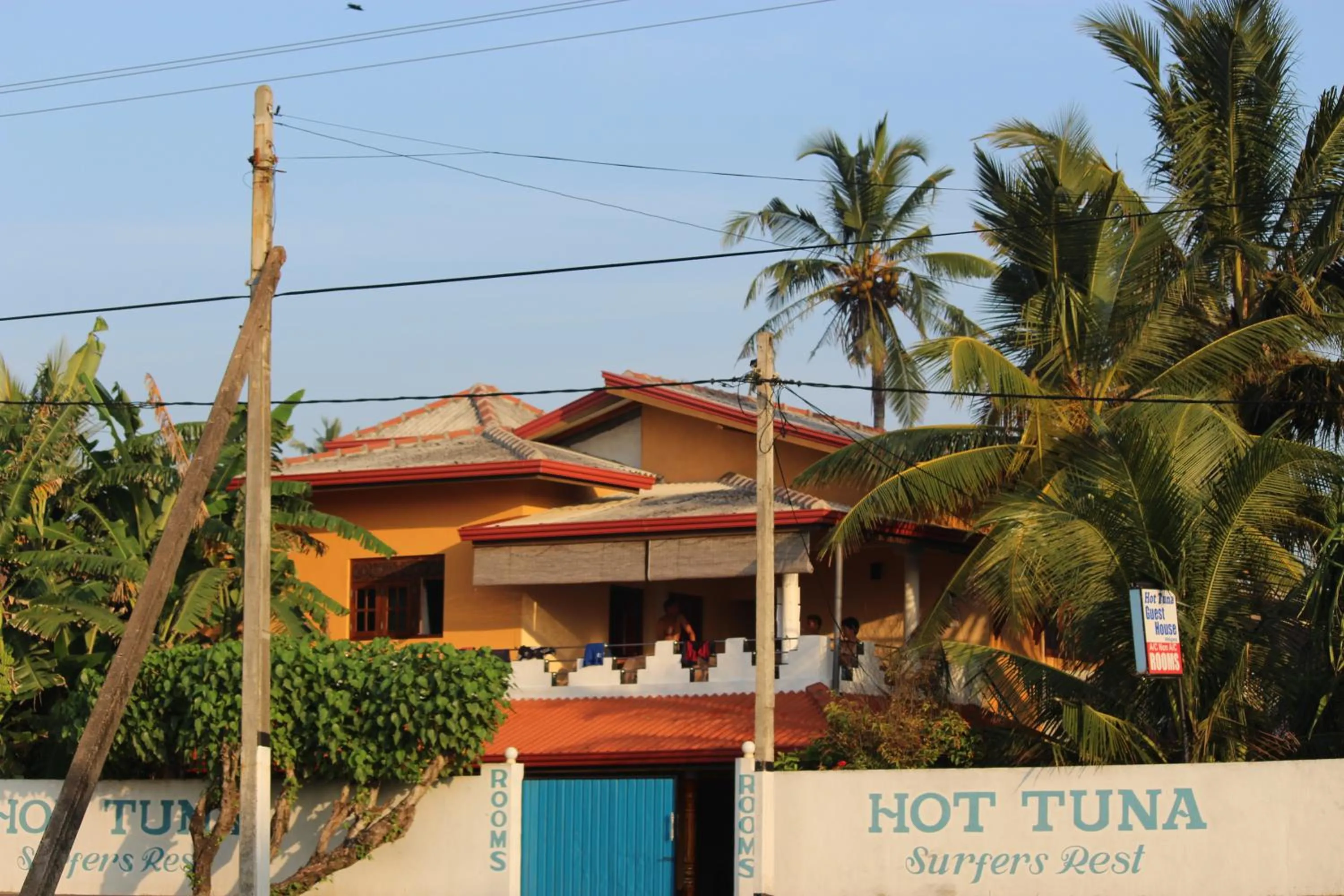 Hot Tuna Surfers Rest Midigama