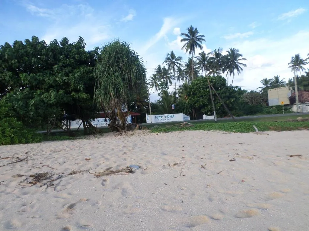 Beach in Hot Tuna Surfers Rest Midigama