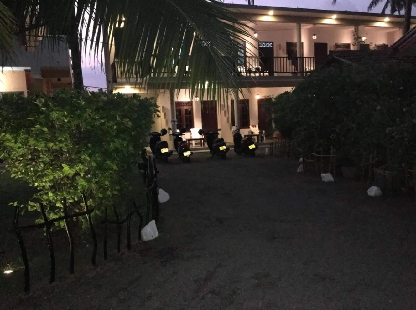 Hot Tuna Surfers Rest Midigama