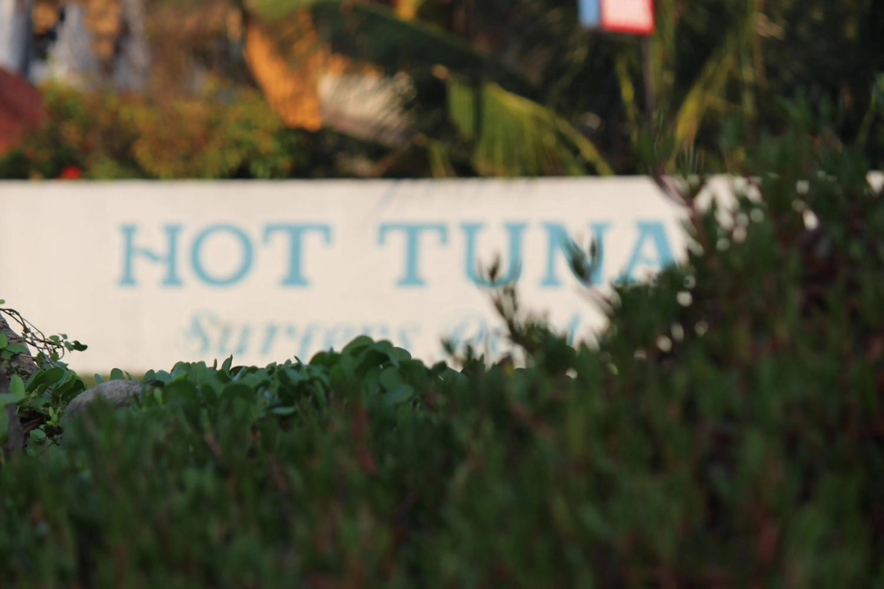 Hot Tuna Surfers Rest Midigama