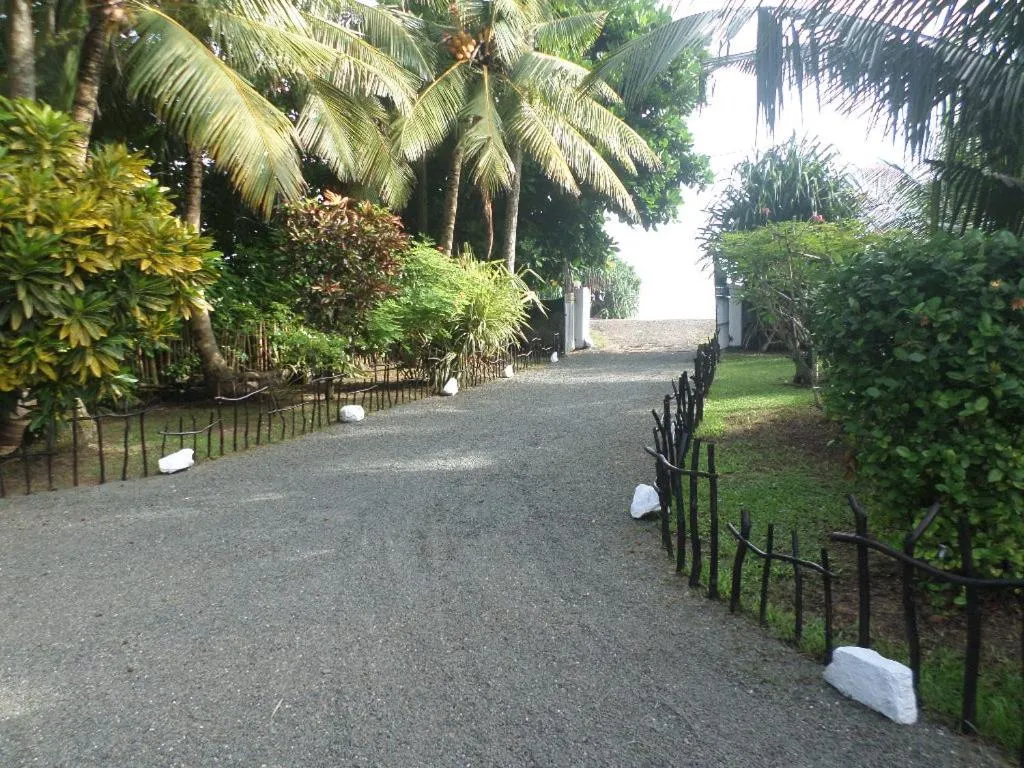 Garden in Hot Tuna Surfers Rest Midigama