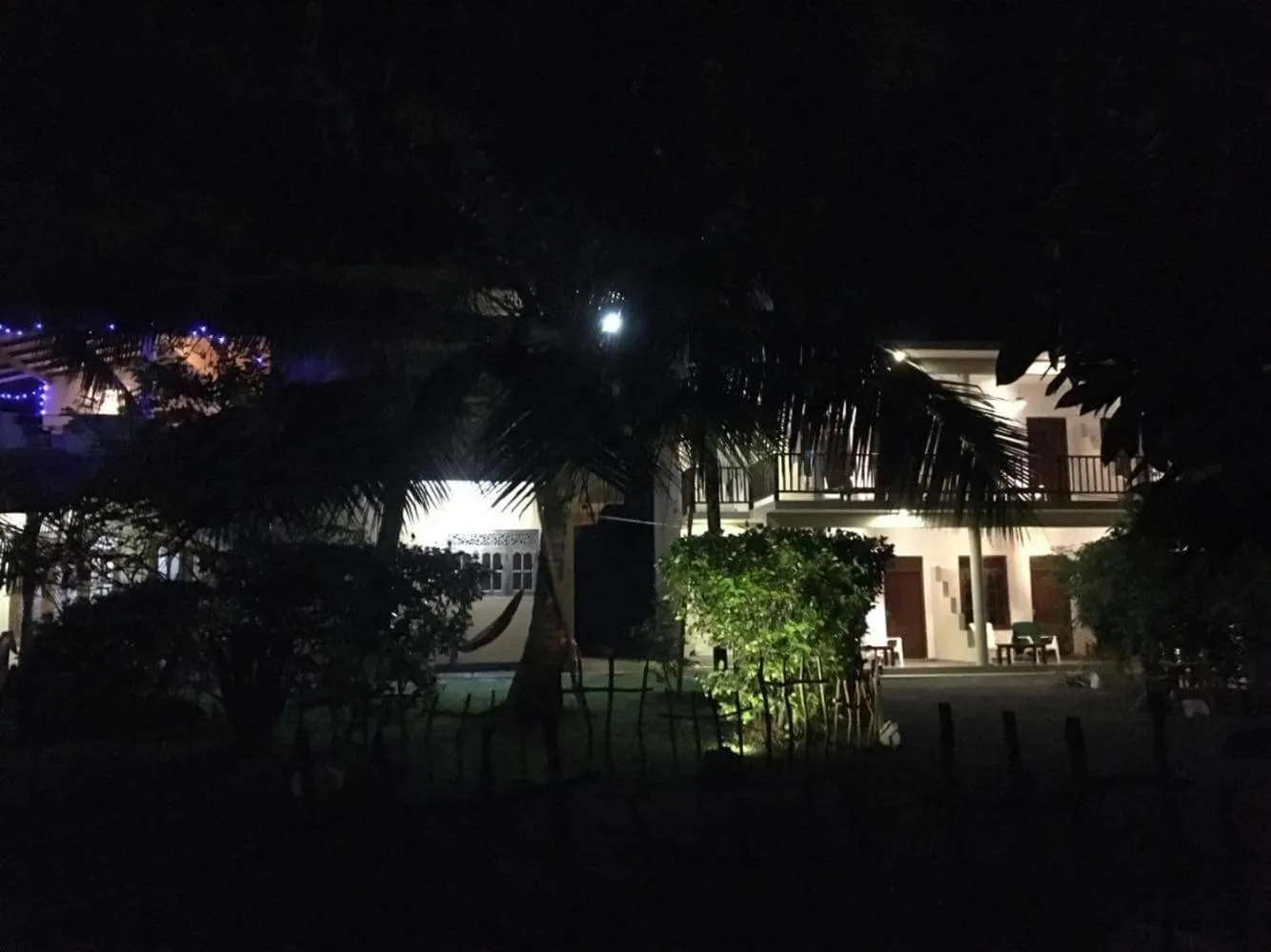 Hot Tuna Surfers Rest Midigama