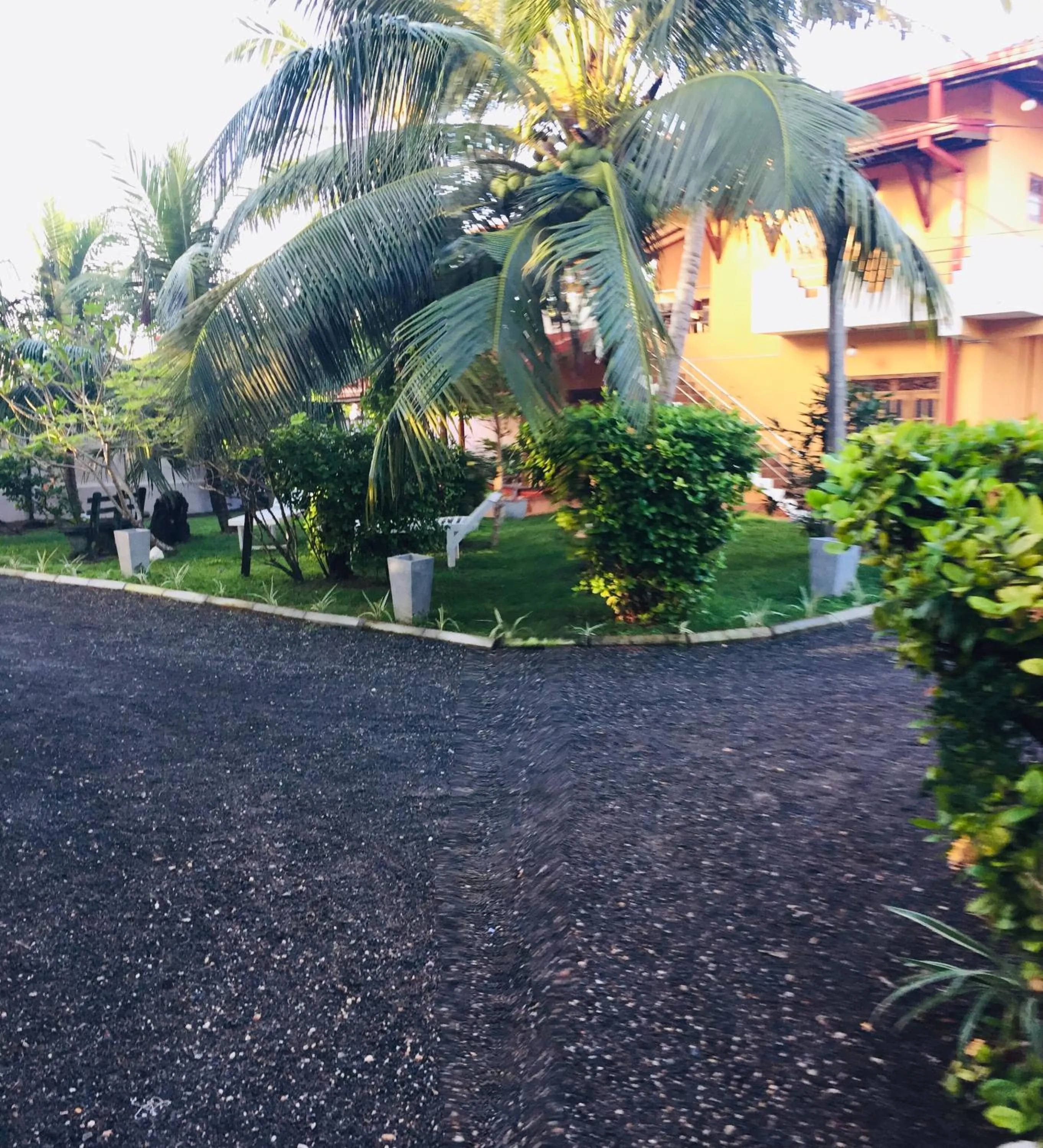 Hot Tuna Surfers Rest Midigama