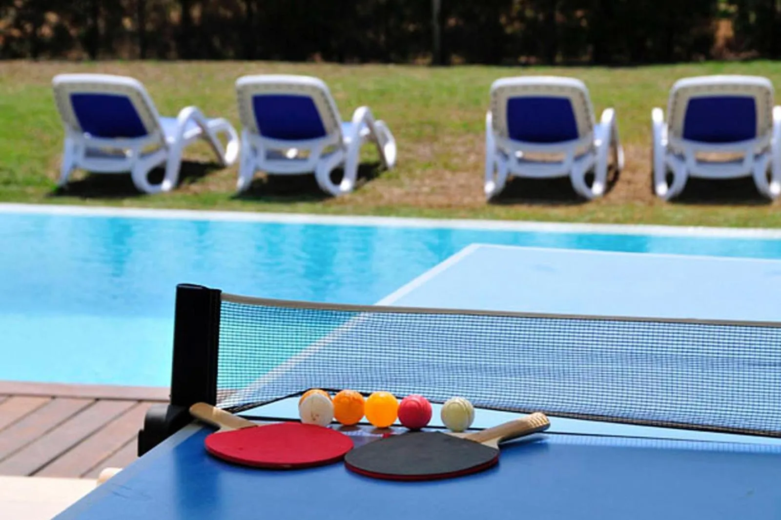 Swimming pool in Villa Barcares Gran for 10, pool, gym and close to beach