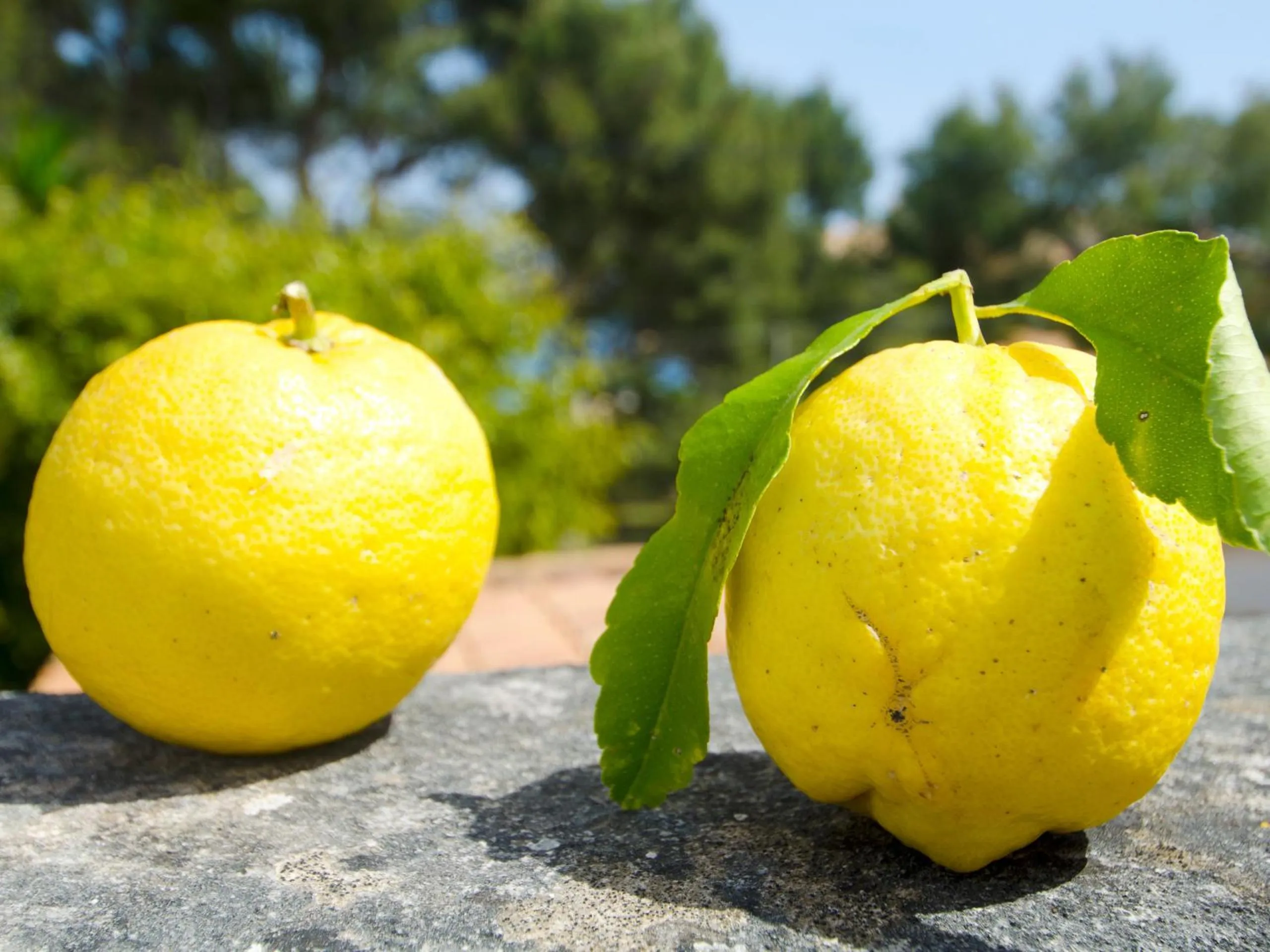Decorative detail in Villa Camila para 7 junto a playa de Sant Pere