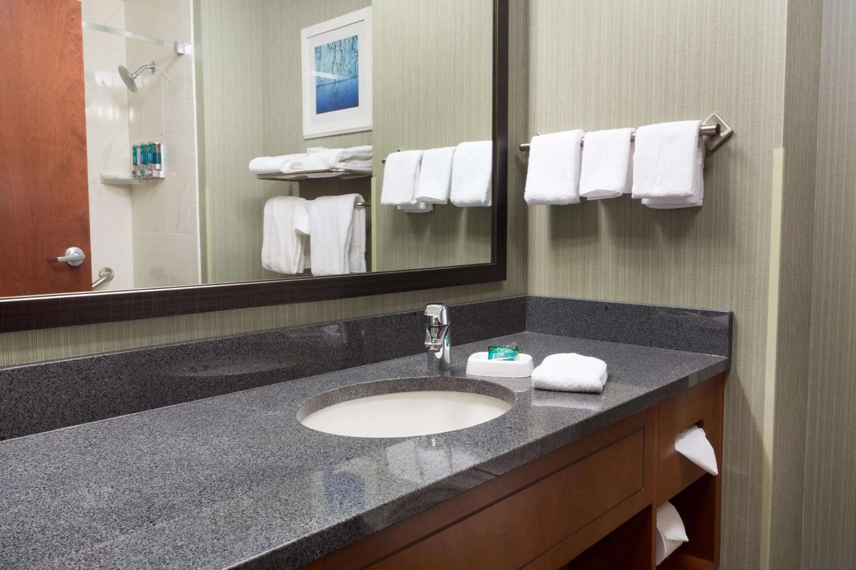 Bathroom in Drury Inn & Suites Burlington
