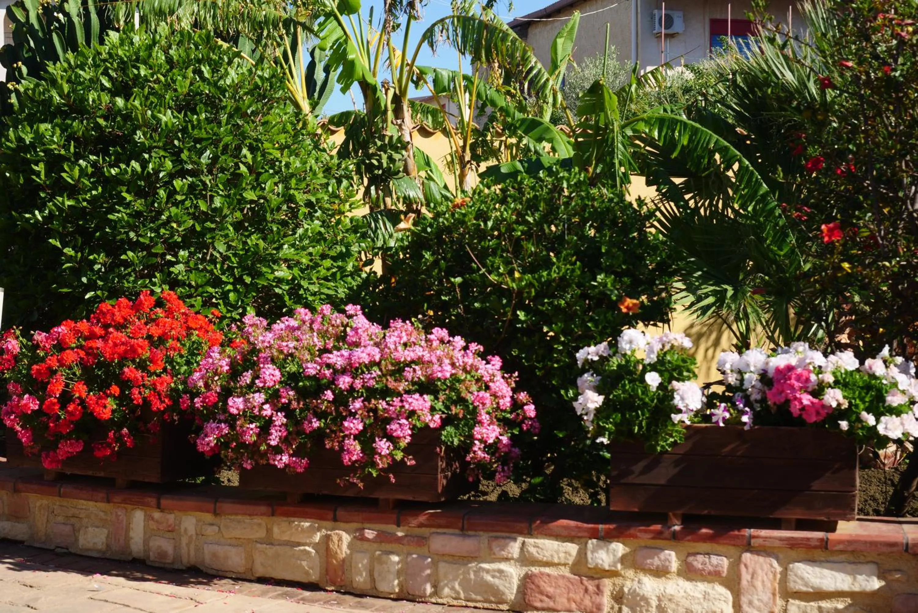 Garden in B&B Templi e Arte