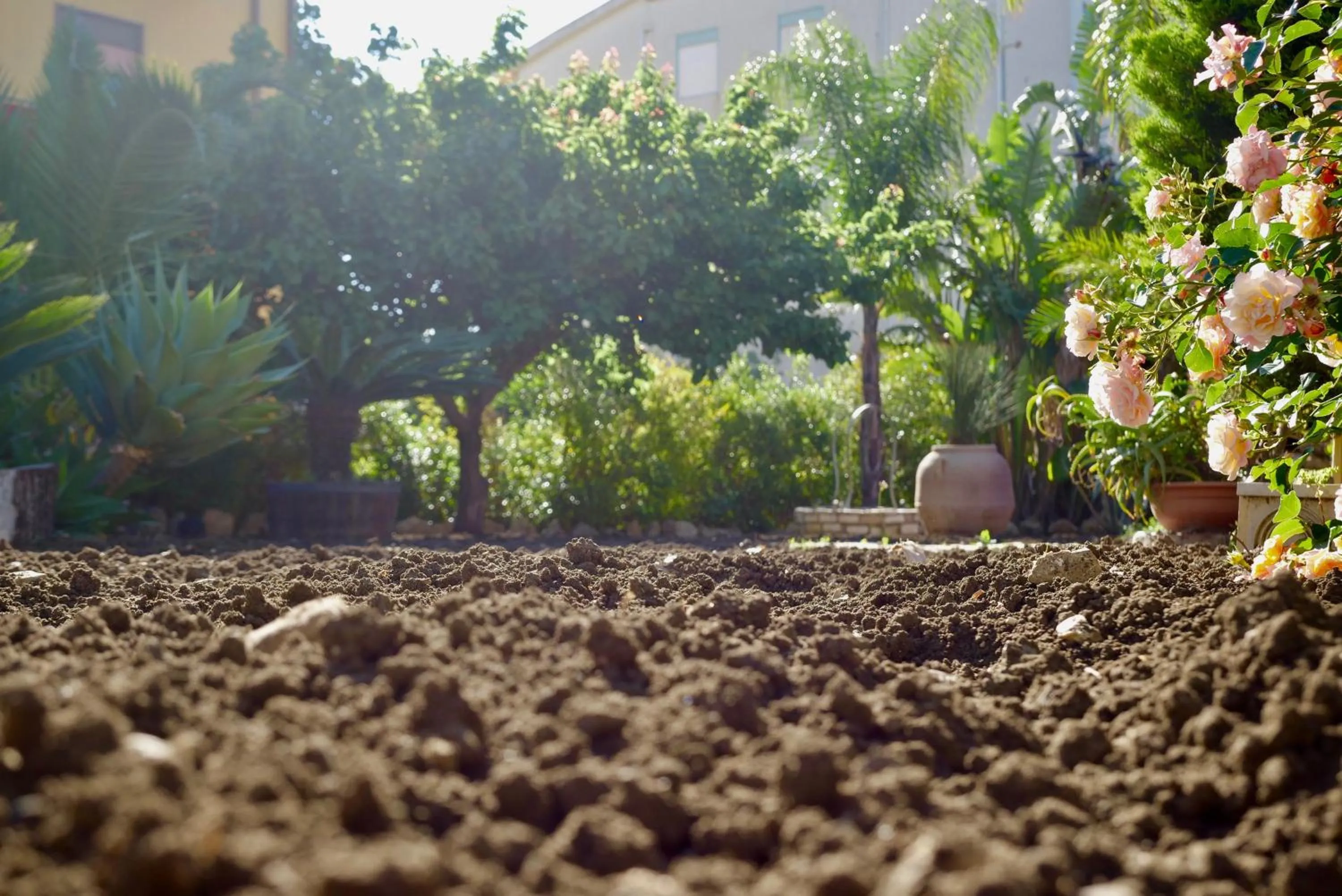Garden in B&B Templi e Arte