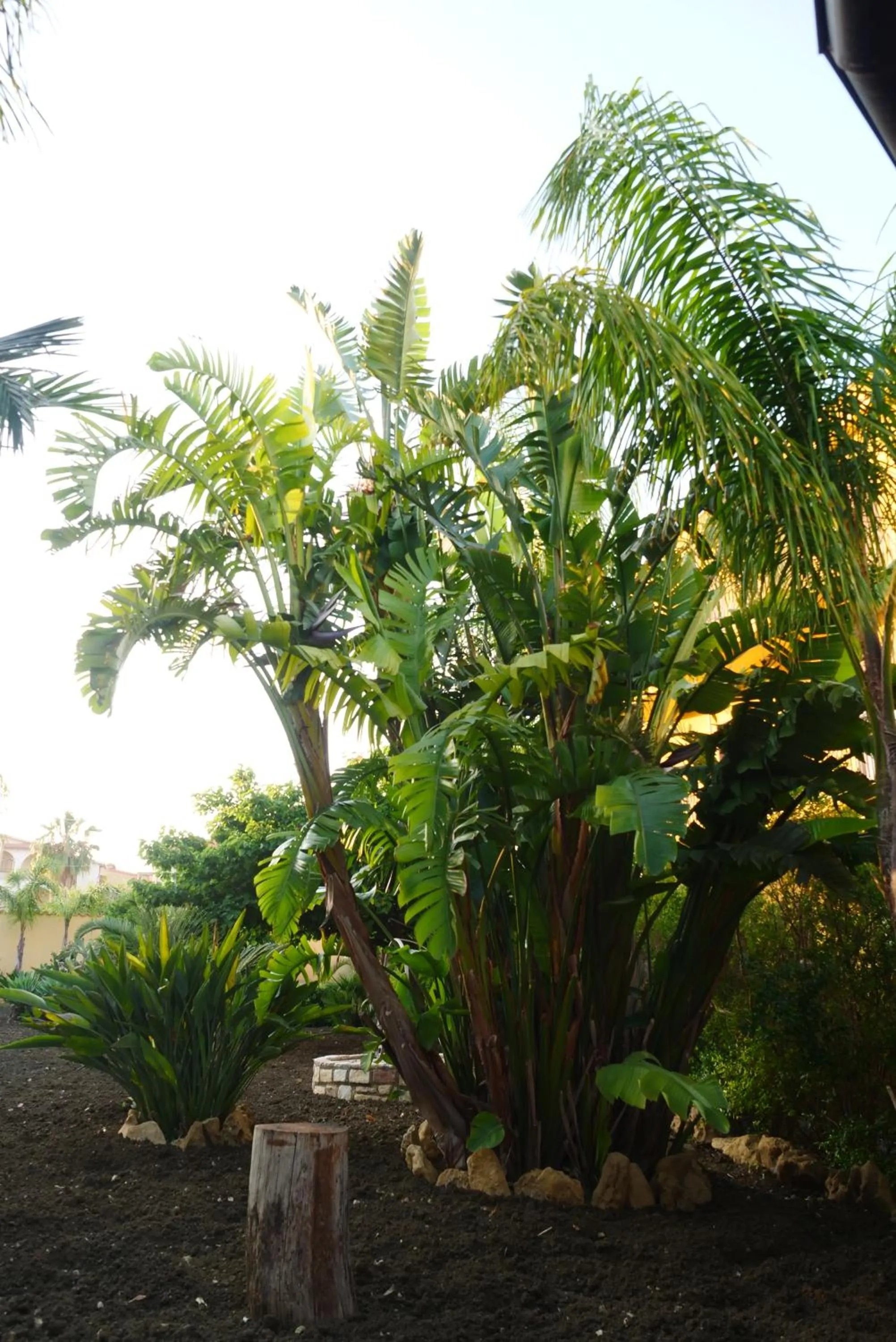 Garden in B&B Templi e Arte