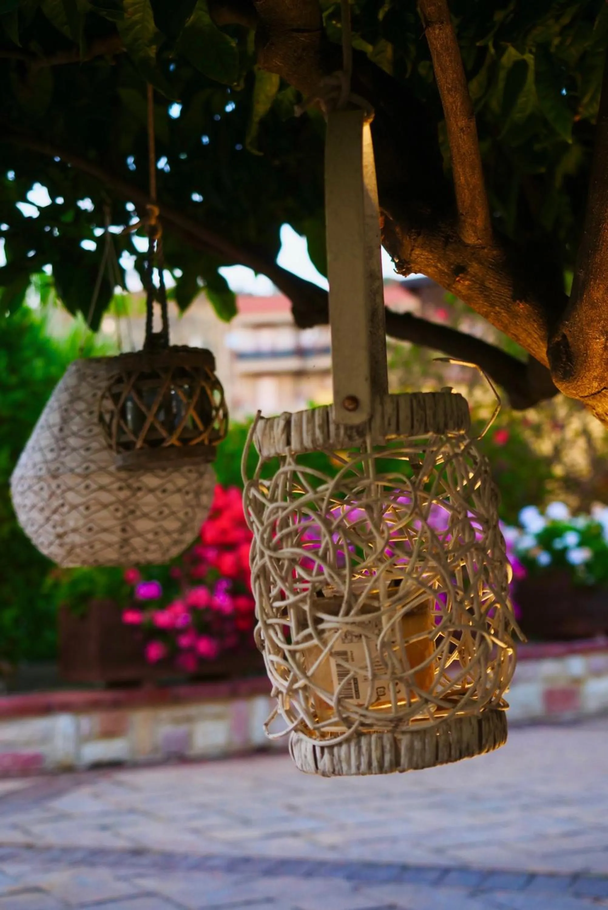 Garden in B&B Templi e Arte