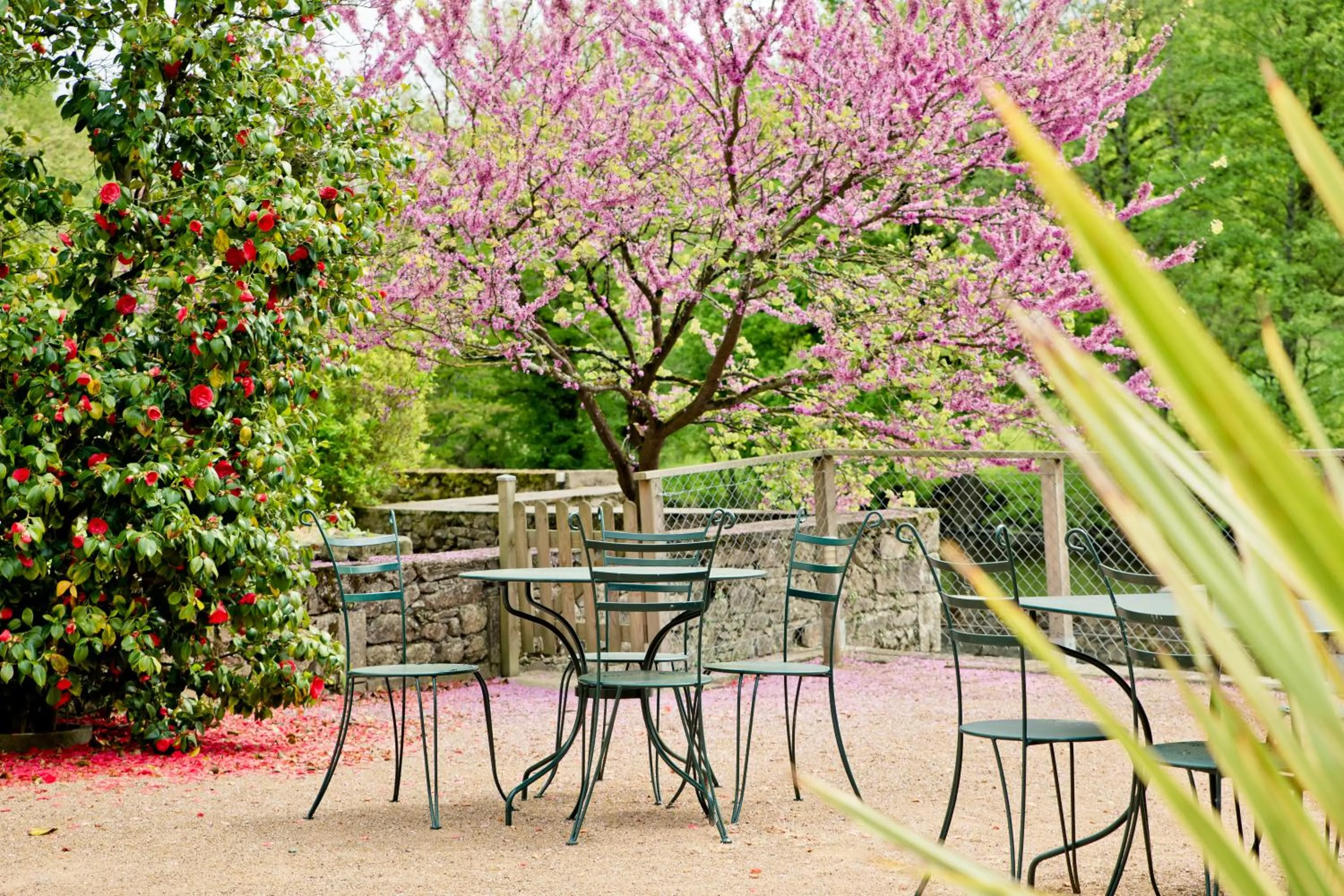 Patio in Moulin Pont Vieux Chambres d'hôtes
