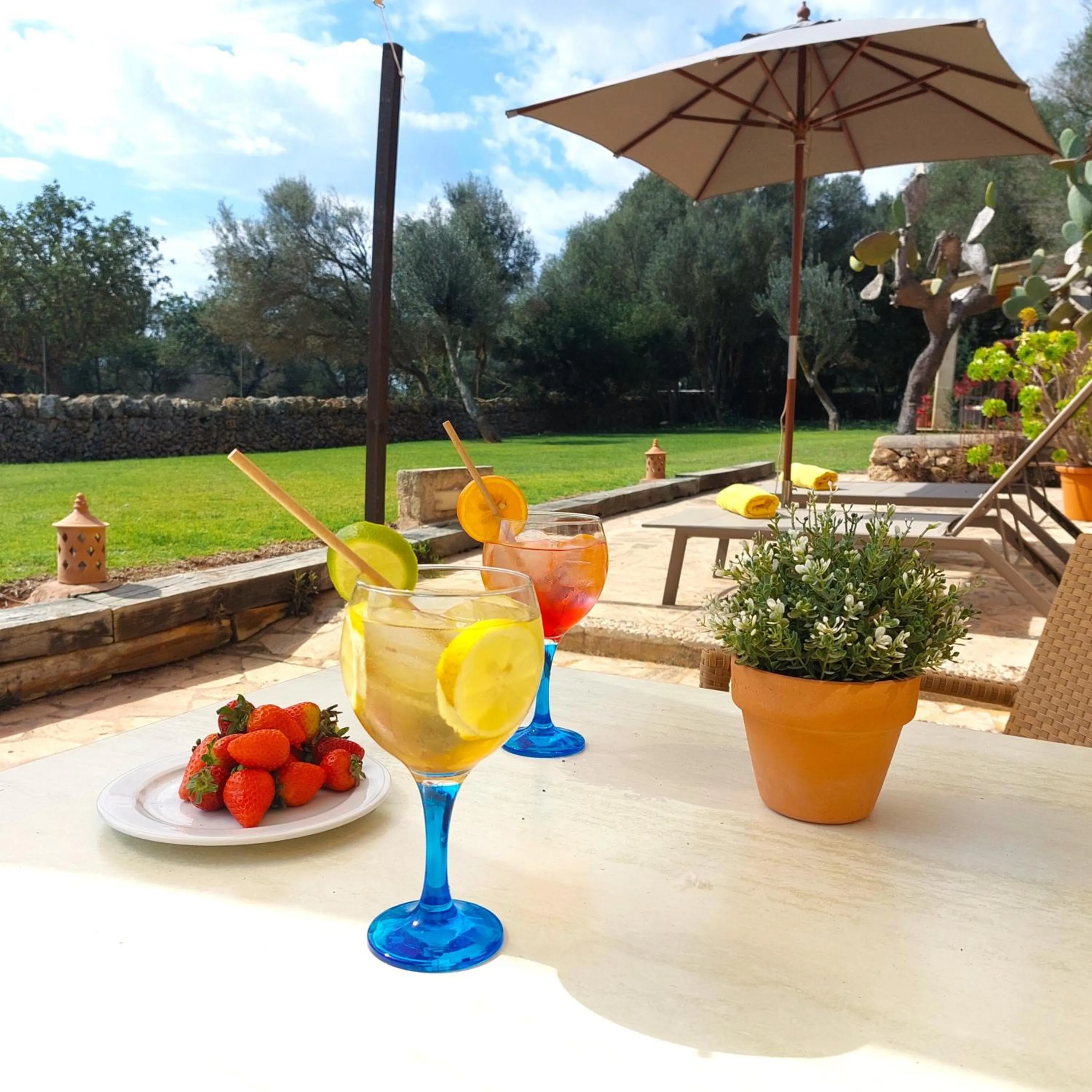 Garden view in Boutique Hotel Sa Galera