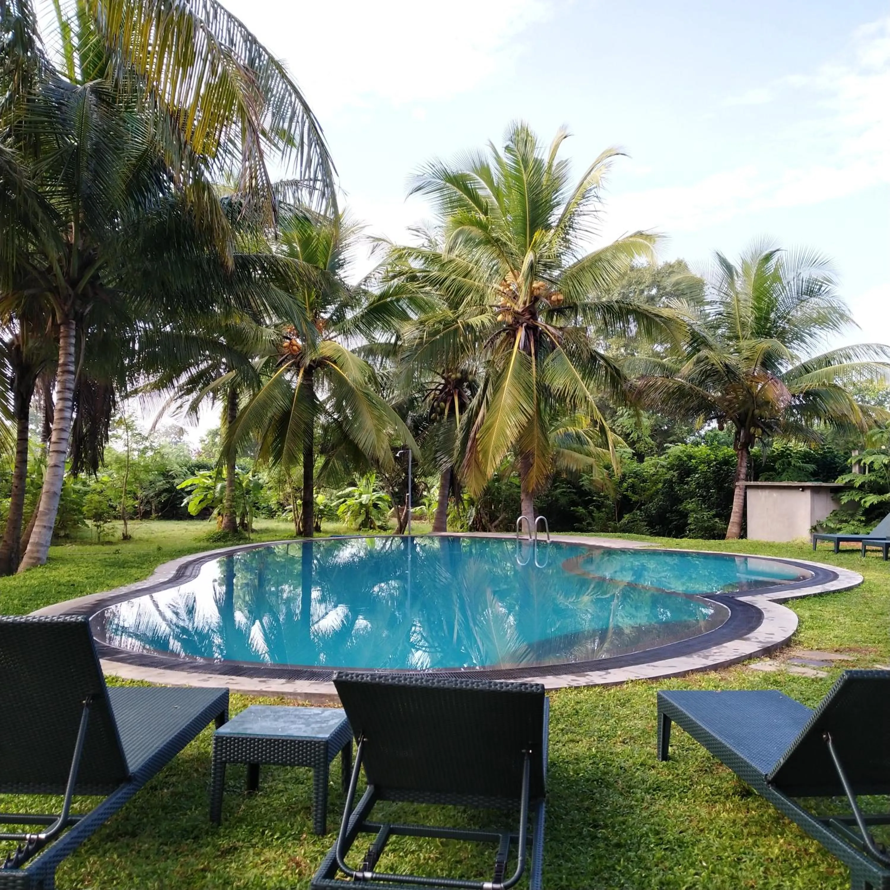 Swimming pool in The Nature Park Villa