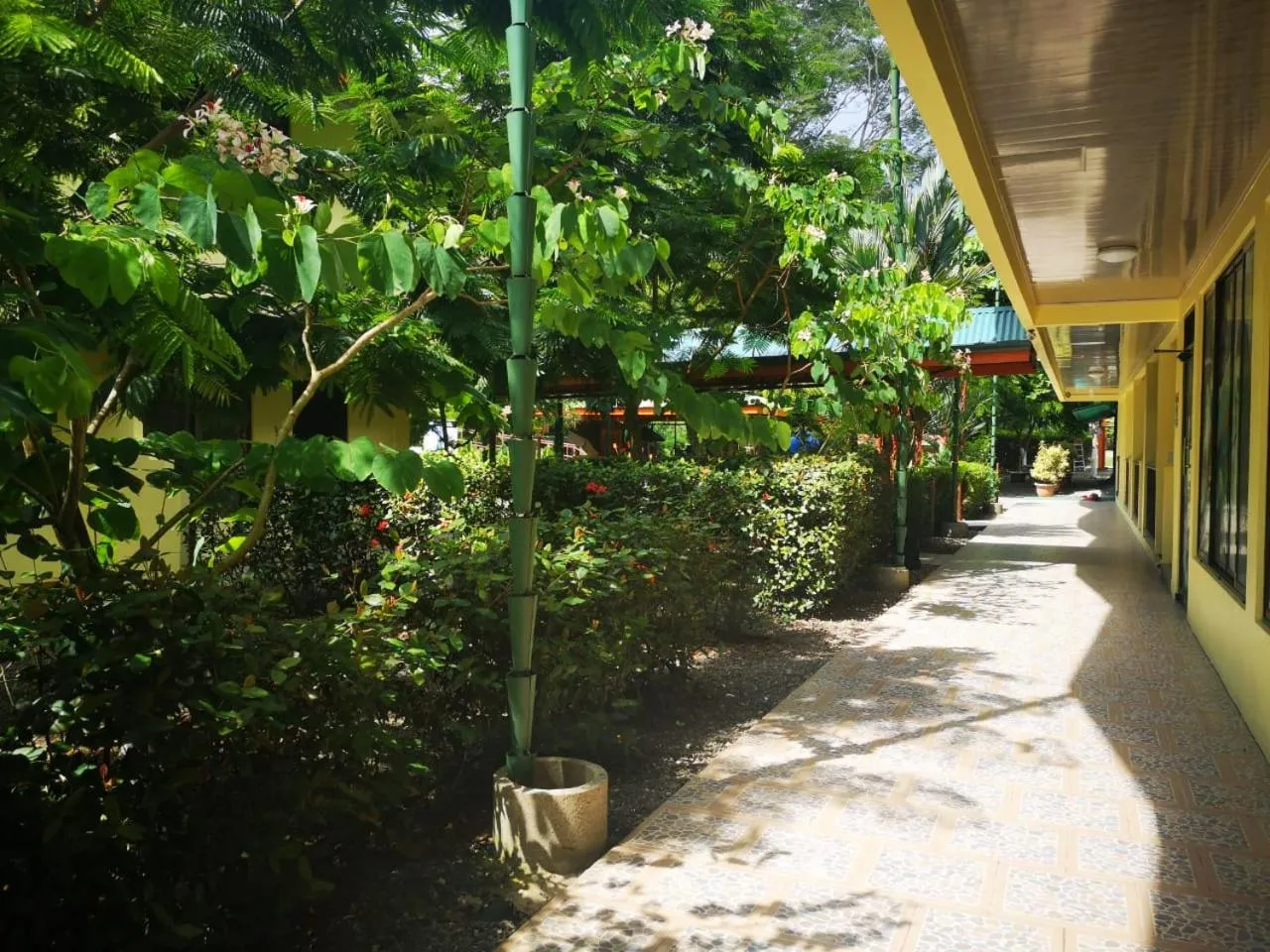 Patio in Hotel Cabinas el Tecal