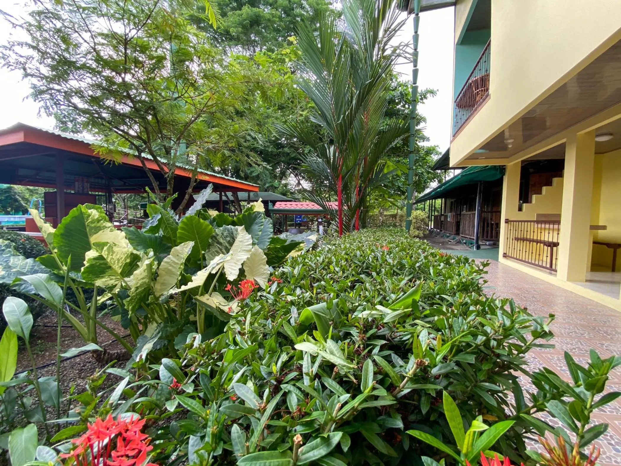 Garden in Hotel Cabinas el Tecal