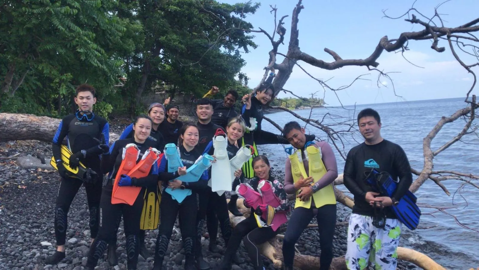 Diving in Ocean Villa Dive Resort - Tulamben