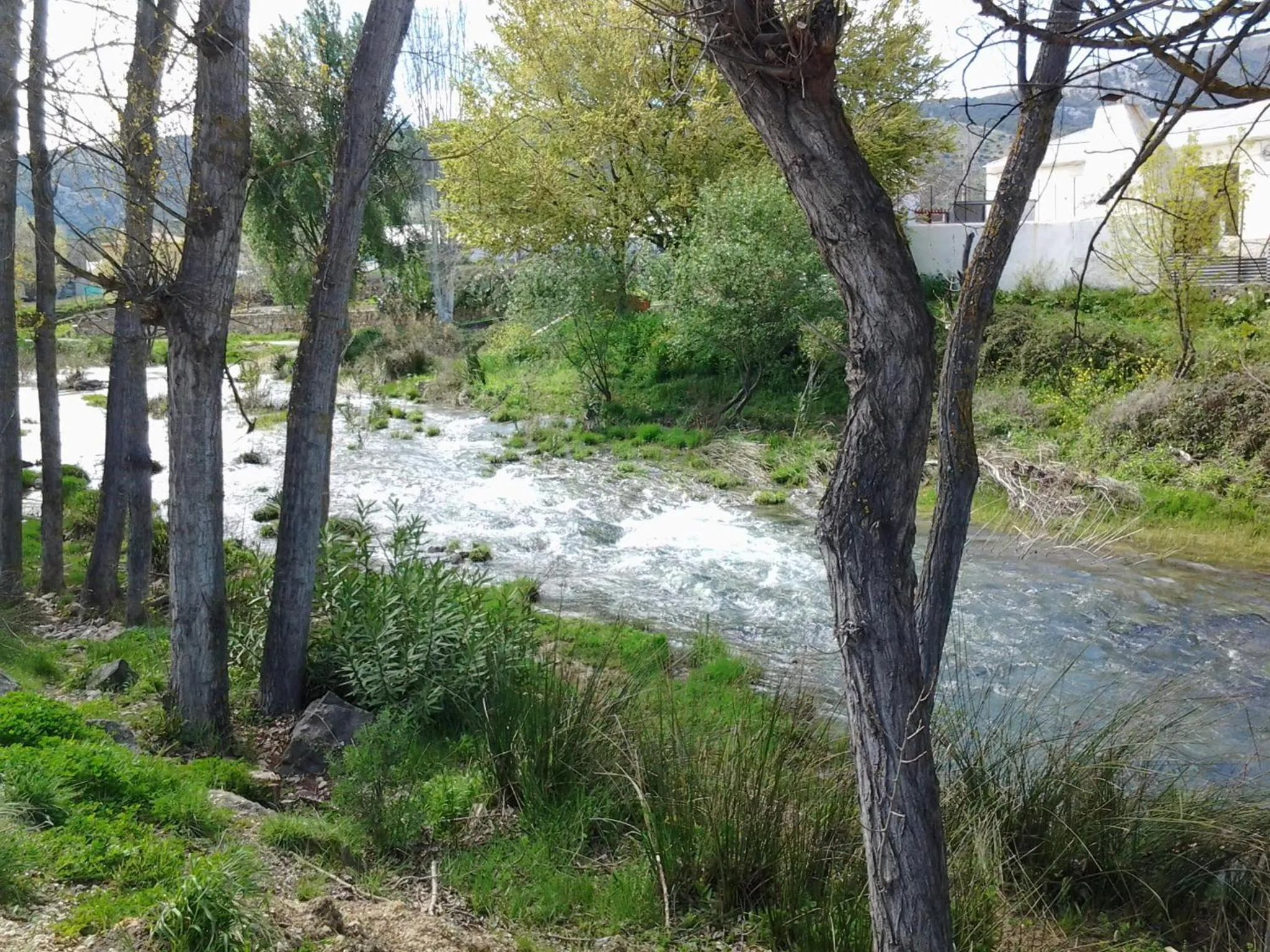 Area and facilities in Casa Grande de El Burgo